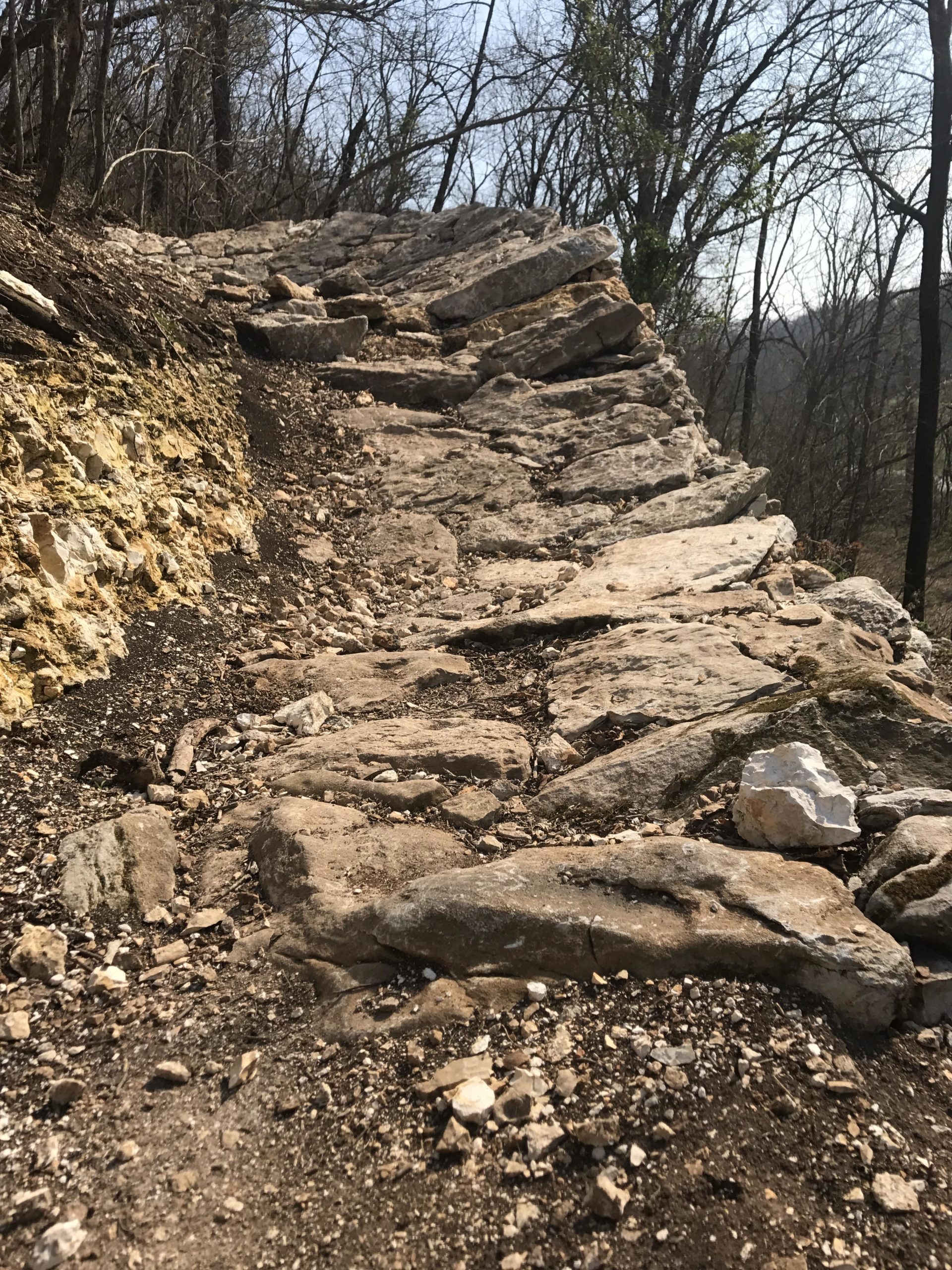 Alt text: A rocky trail winding uphill, surrounded by bare trees and a clear sky. The path consists of uneven stones and dirt, indicating a natural hiking route. Coler Mountain Bike Preserve mountain bike trail.