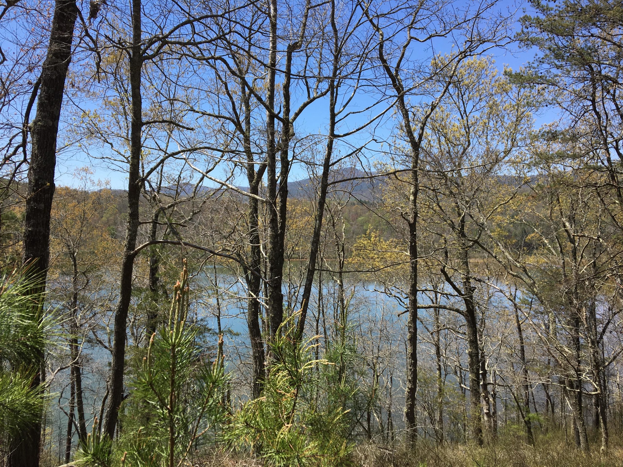 A scenic view of a calm lake surrounded by trees in early spring, showcasing bare branches and budding leaves under a clear blue sky, with distant mountains in the background. Brush Creek mountain bike trail.