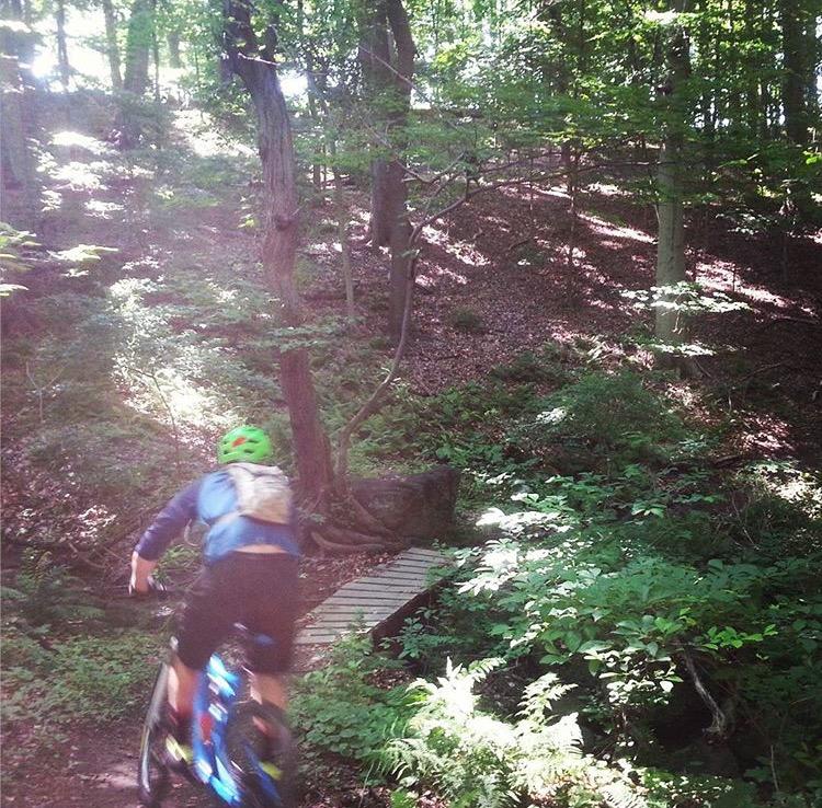 A person riding a mountain bike on a forest trail, approaching a small wooden bridge surrounded by lush greenery and sunlight filtering through the trees. Smedley park mountain bike trail.