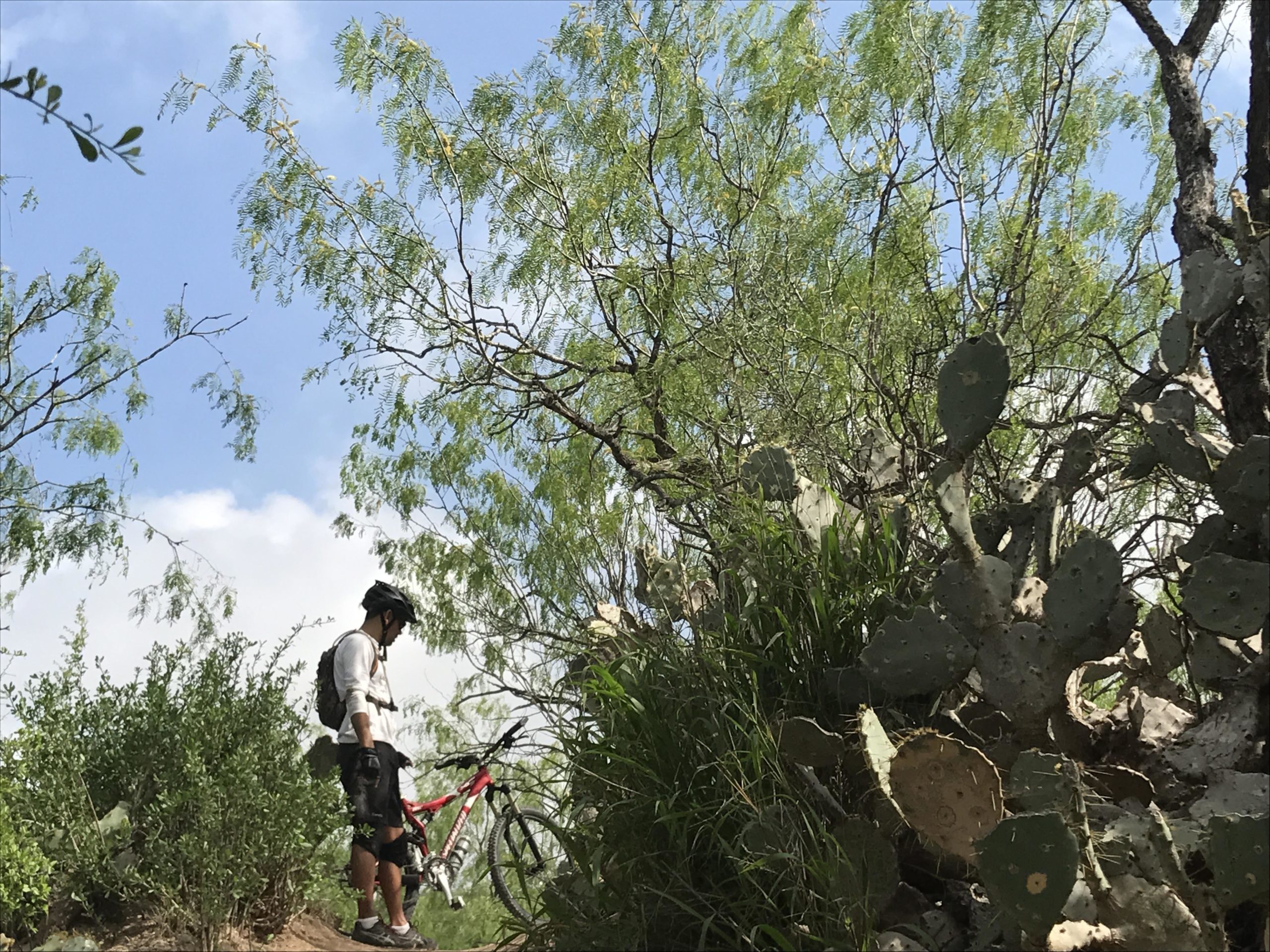 A cyclist stands next to a red mountain bike in a natural setting, surrounded by green vegetation, including cacti and trees, under a blue sky. The cyclist is wearing a helmet and appears to be examining the bike. Mission Trails mountain bike trail.