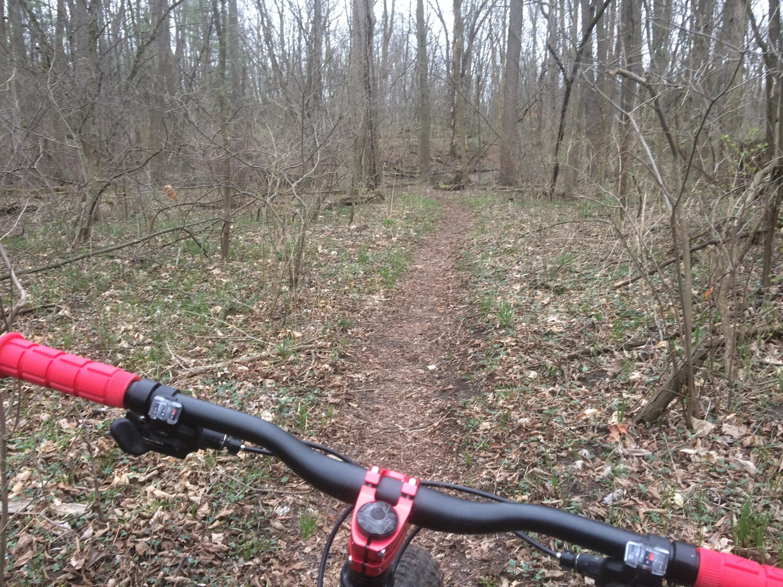 A close-up view of the handlebars of a mountain bike, with red grips, set against a blurred background of a dirt trail winding through a forested area. The ground is covered with fallen leaves and small green plants, indicating early spring. The trees are bare, suggesting a cool, overcast day. Goshen mountain bike trail.