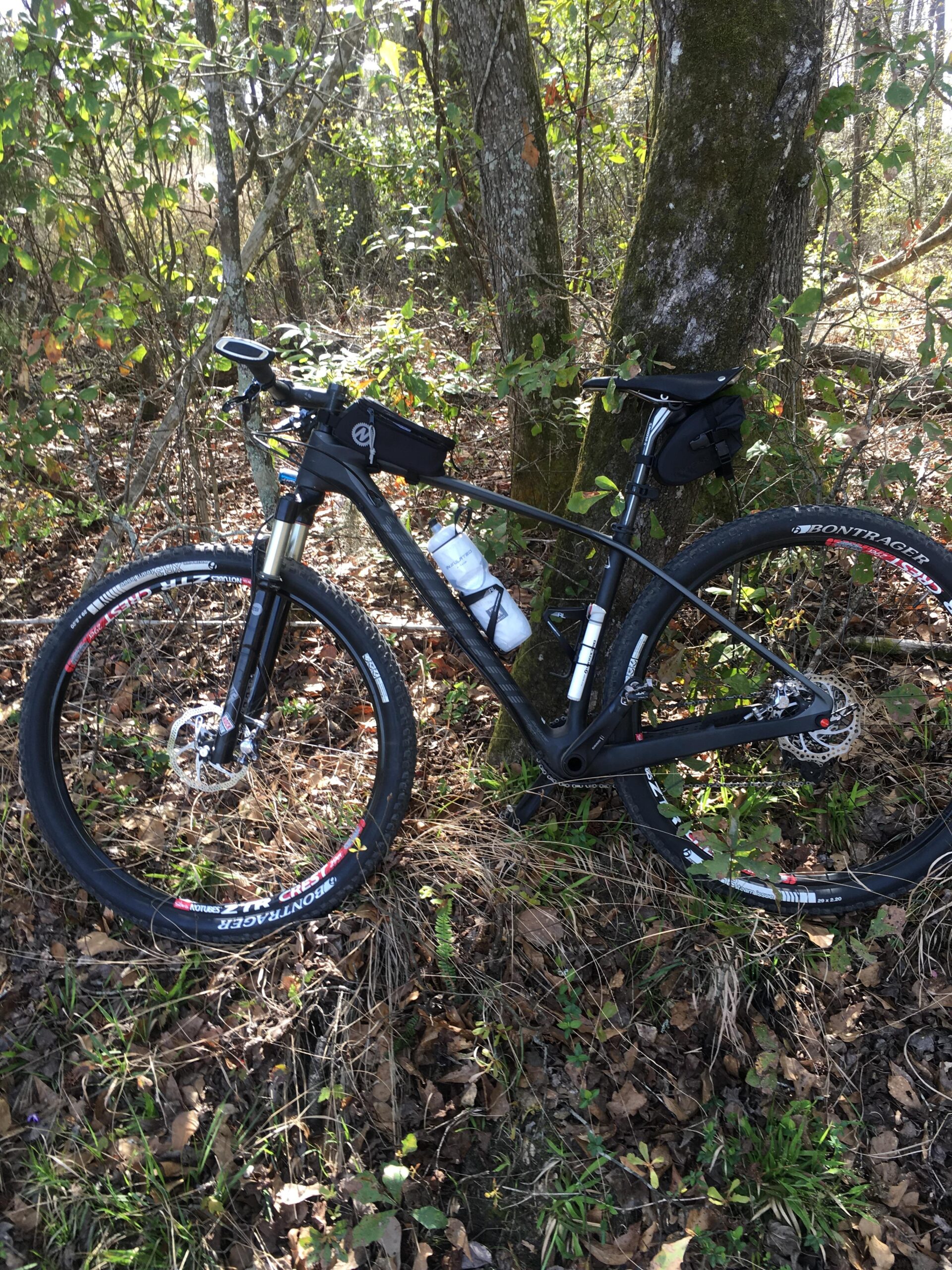 Specialized Stumpjumper: A black mountain bike parked against a tree in a wooded area, surrounded by green leaves and fallen brown foliage. The bike features thick tires, a water bottle mounted on the frame, and a small bag attached to the seat. Sunlight filters through the trees, illuminating the scene.