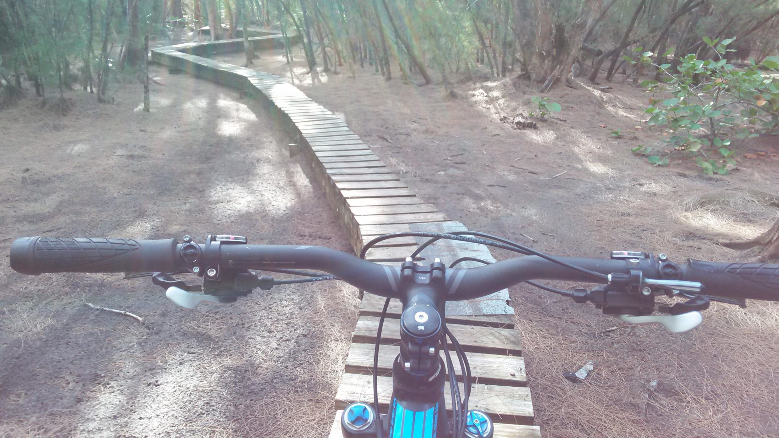 View from the handlebars of a mountain bike on a wooden boardwalk trail through a wooded area, with trees and underbrush visible in the background. Oleta River State Park mountain bike trail.
