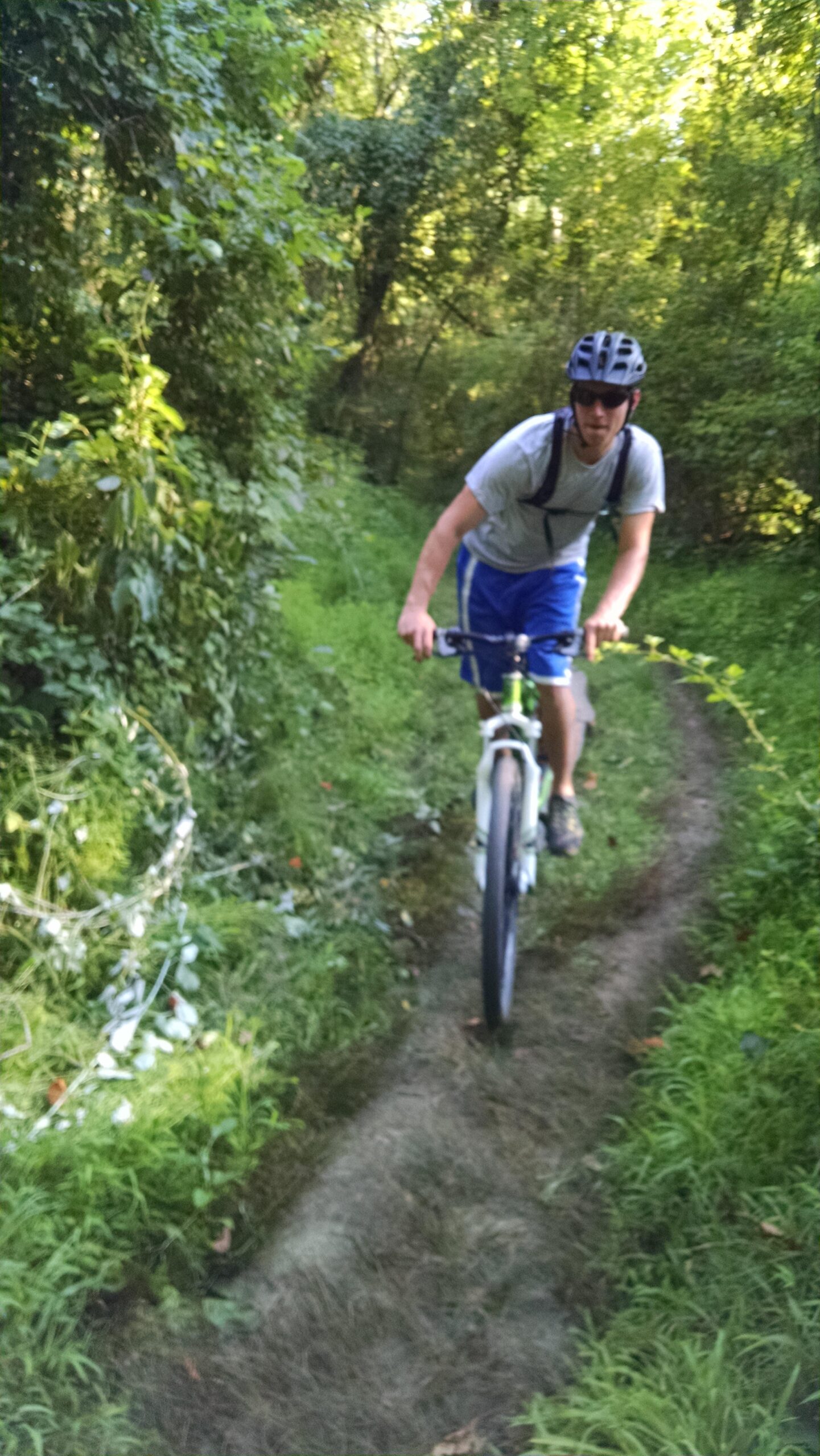 Trek Marlin 5 29er: A cyclist riding a mountain bike along a narrow, grassy trail surrounded by lush greenery and trees. The cyclist is wearing a helmet and sunglasses, dressed in a gray shirt and blue shorts. Sunlight filters through the tree canopy, illuminating the path.