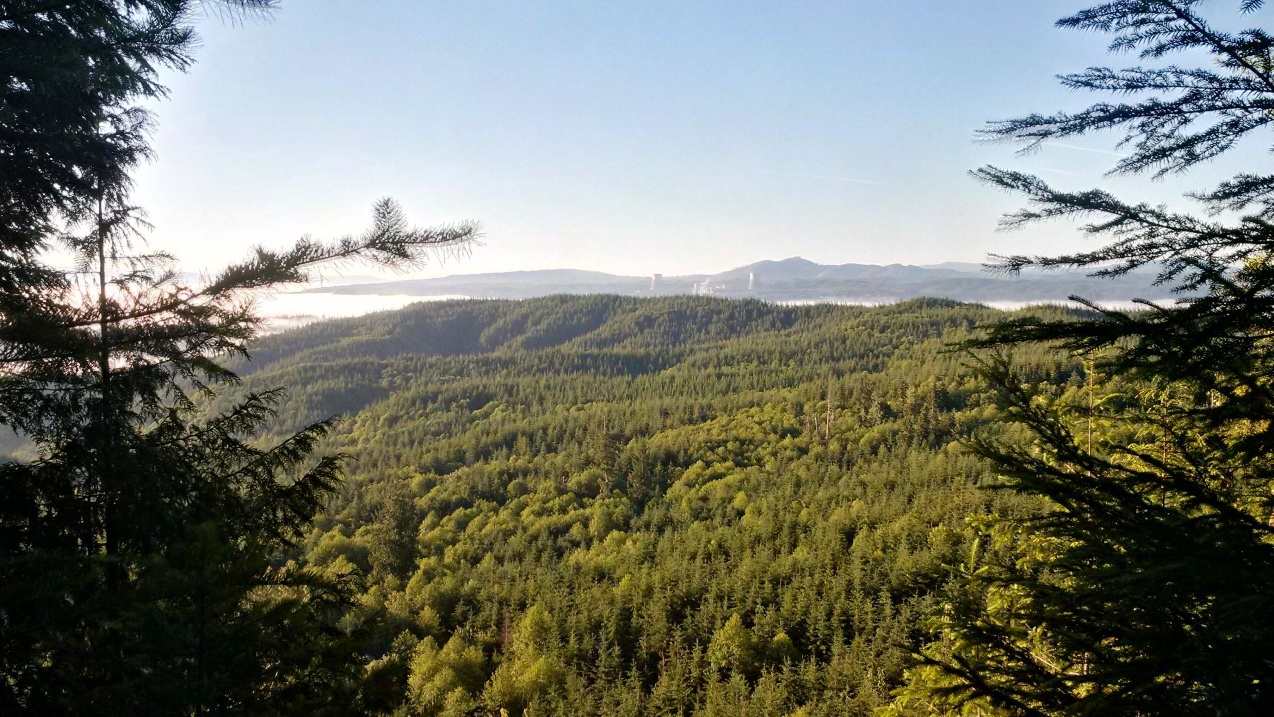 A panoramic view of lush green mountains and forests under a clear blue sky, with wisps of mist visible in the valleys. Evergreen trees frame the foreground, highlighting the vibrant vegetation and hilly terrain. Sylvia Ridge Loop mountain bike trail.
