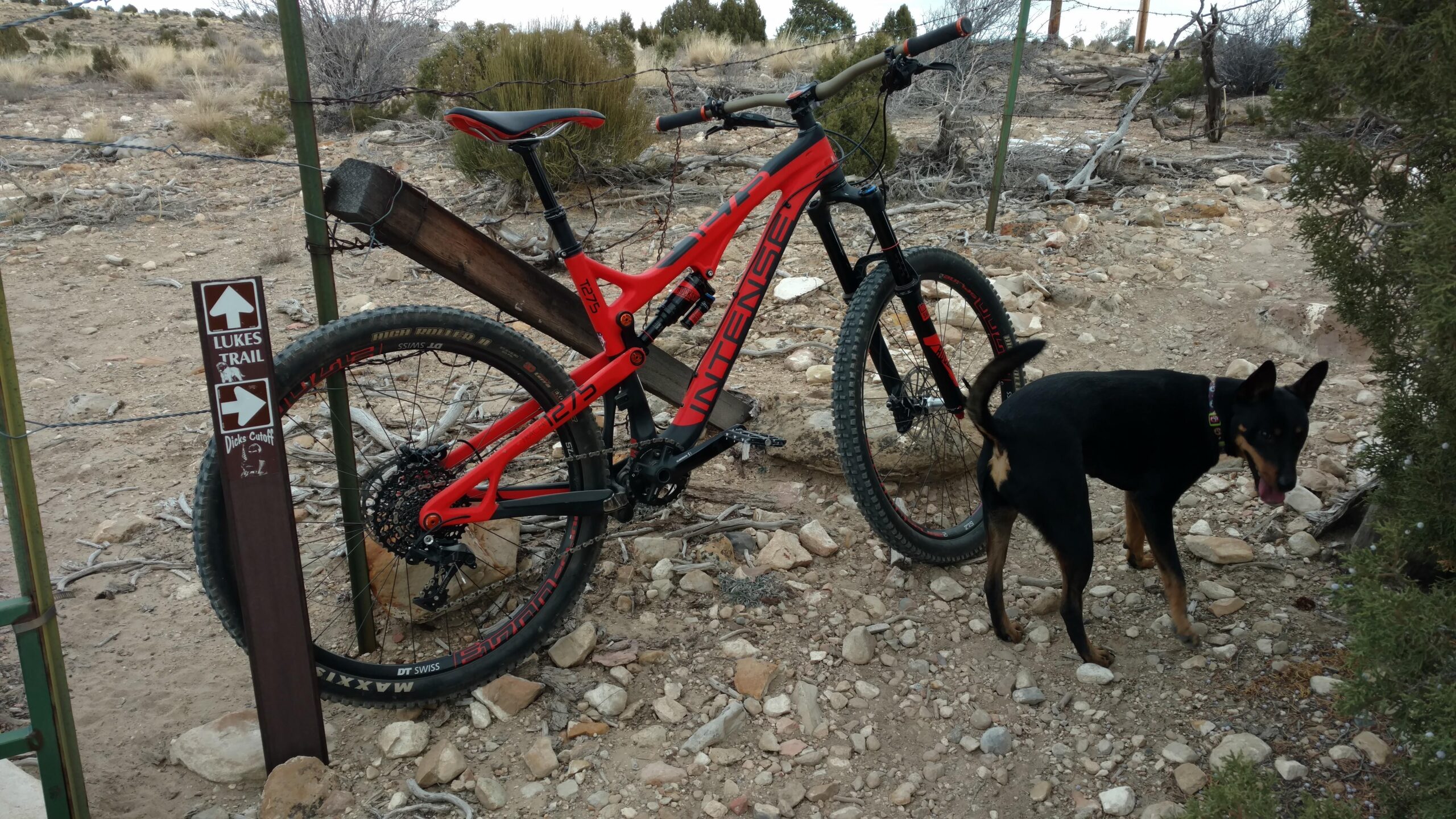 Intense Tracer 275c: A mountain bike with a vibrant red frame is leaning against a wooden post near a trail sign that indicates "Luke's Trail" and "Dicks Cutoff." A black dog is standing nearby on rocky terrain, surrounded by sparse vegetation and a natural landscape.