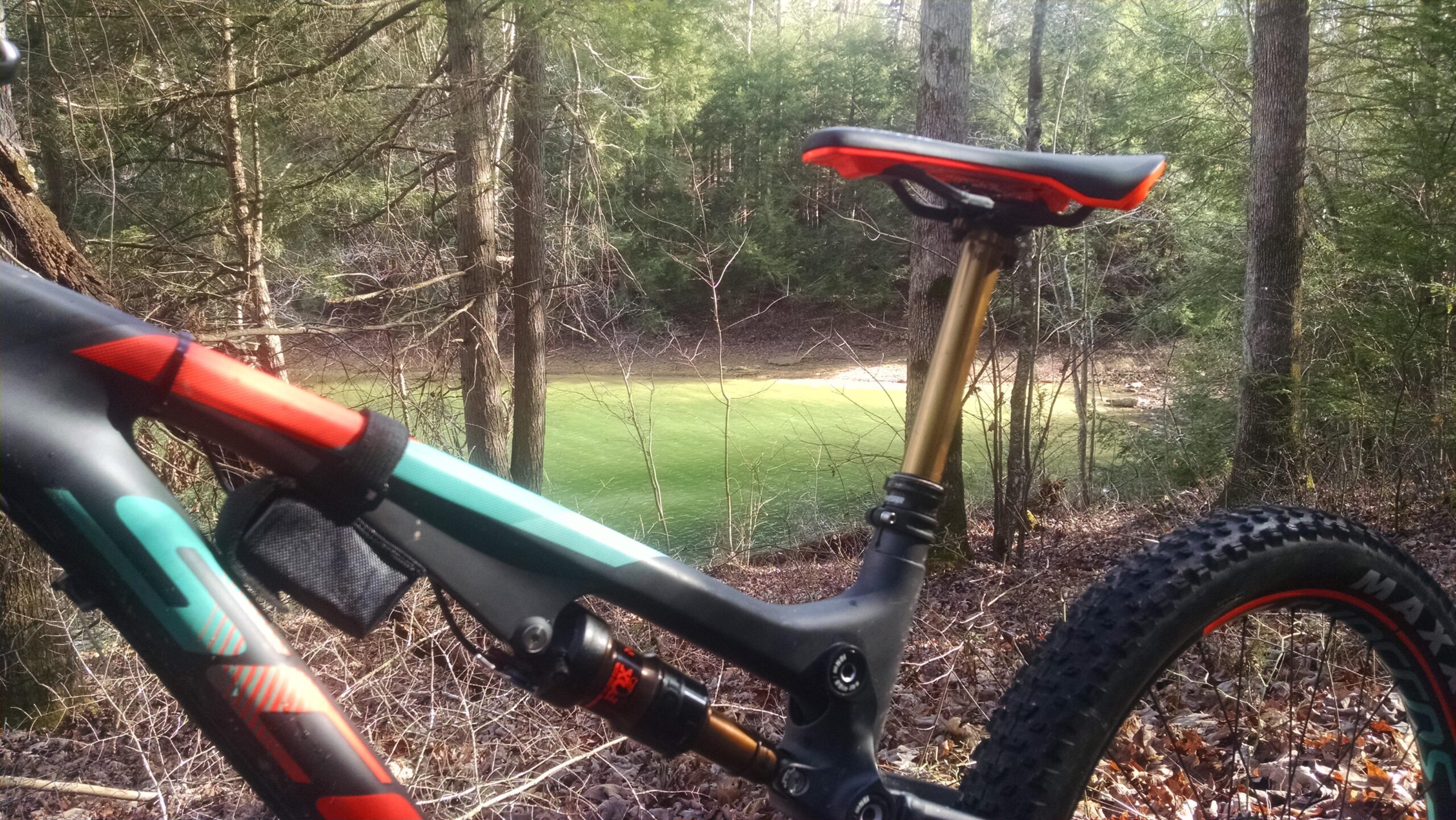 Scott Genius 700 Tuned Bike: Alt text: Close-up view of a mountain bike frame and saddle with a forest backdrop, featuring green grass and trees.