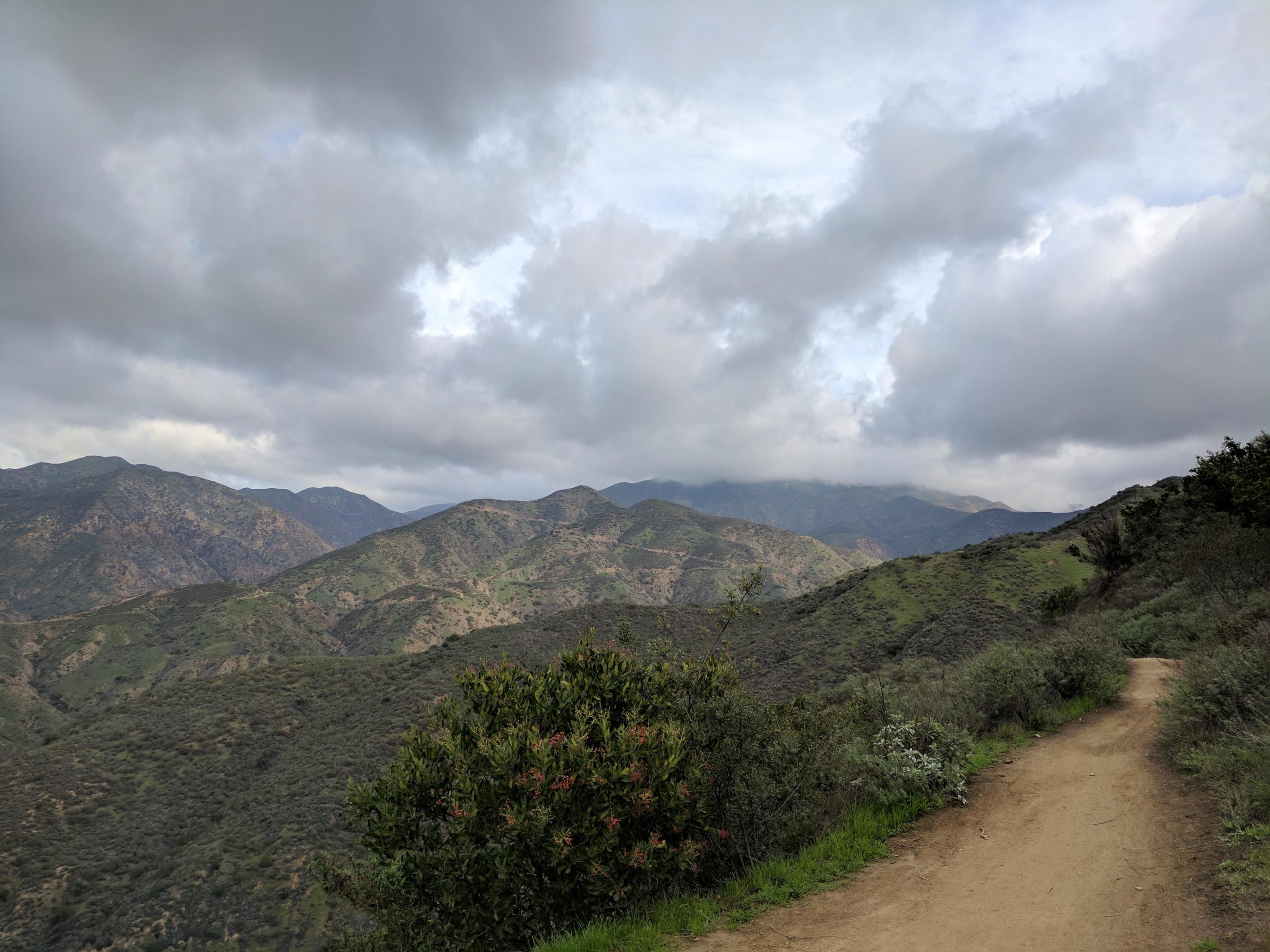 A scenic view of rolling green mountains under a cloudy sky, with a dirt hiking path winding through the foreground. The landscape features lush vegetation and varying shades of green, showcasing the natural beauty of the area. Whiting Ranch Wilderness Park mountain bike trail.