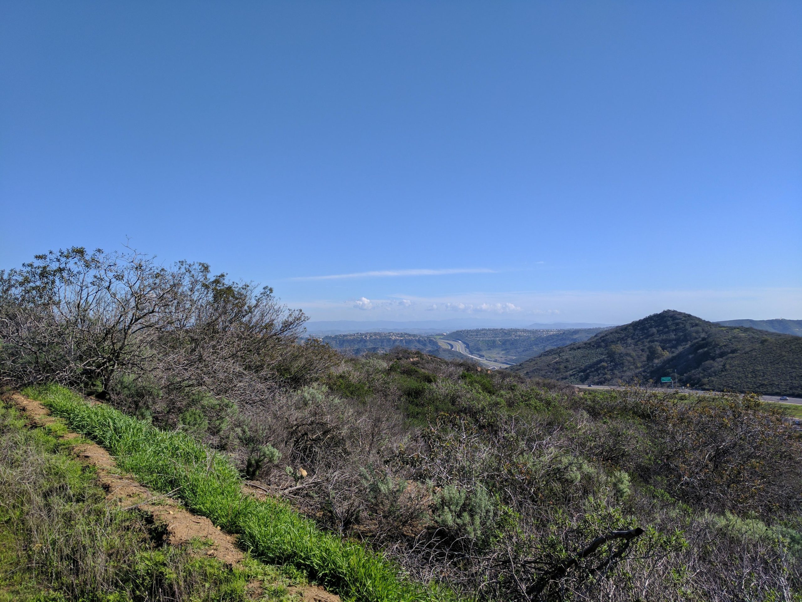 A panoramic view of rolling hills and a highway stretching through a lush green landscape under a clear blue sky. Scattered shrubs and trees are visible in the foreground, creating a natural border around the scene. El Moro / Erection Loop mountain bike trail.