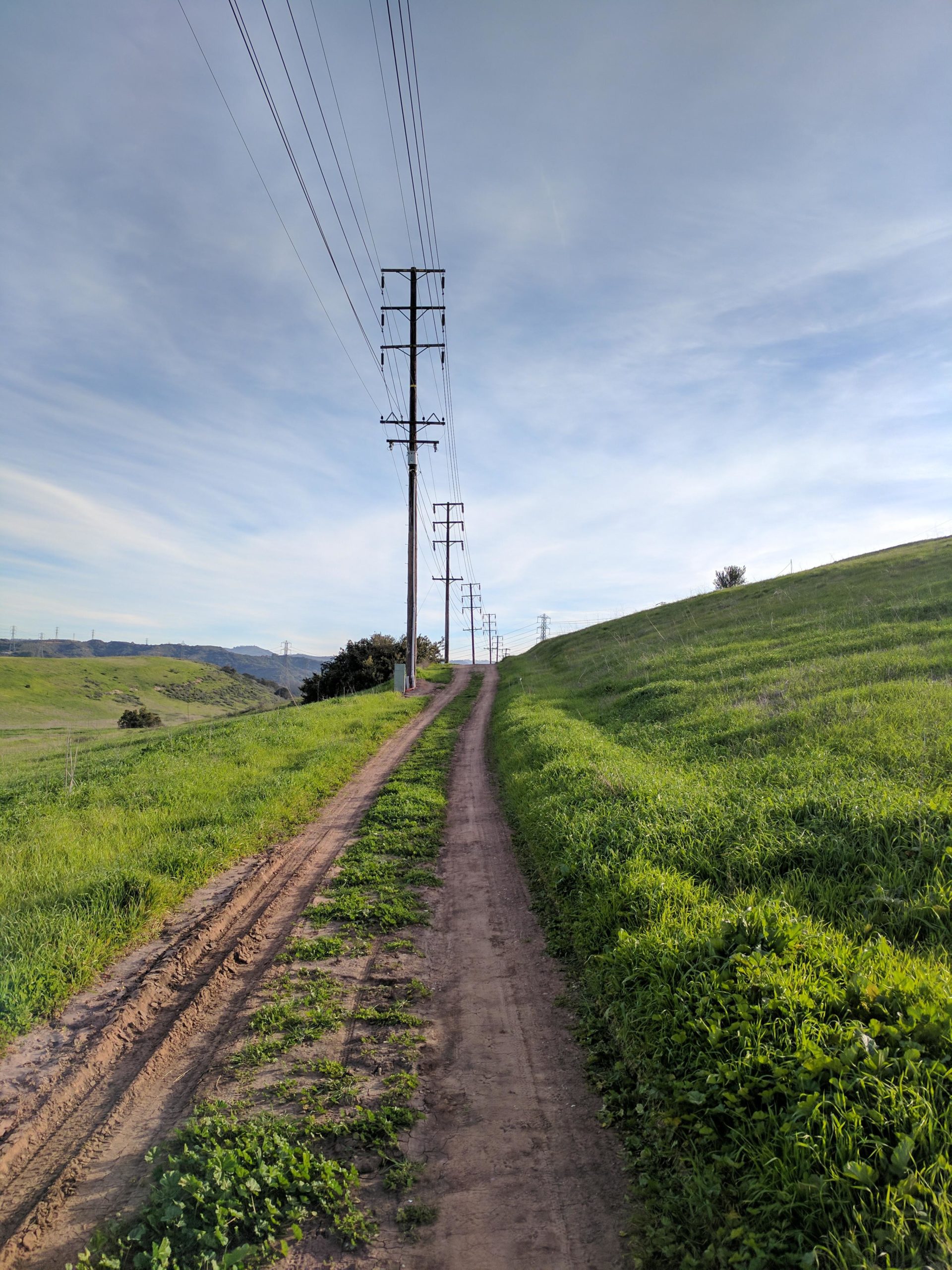 A dirt path lined with green grass and plants, leading toward a series of utility poles. The path gently curves up a grassy hillside under a clear blue sky. El Moro / Erection Loop mountain bike trail.
