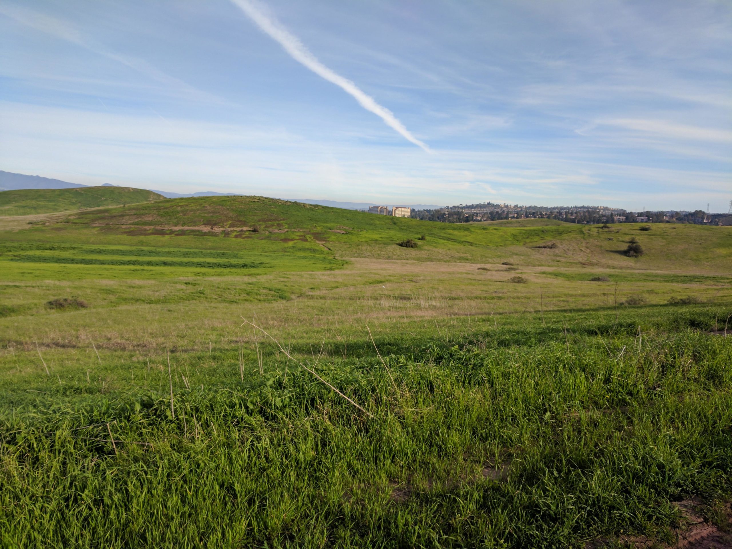 A scenic view of rolling green hills under a clear blue sky, with gentle slopes and patches of grass. In the background, a distant line of buildings is visible, set against the horizon. Wispy clouds trace across the sky, adding to the calm atmosphere of the landscape. El Moro / Erection Loop mountain bike trail.