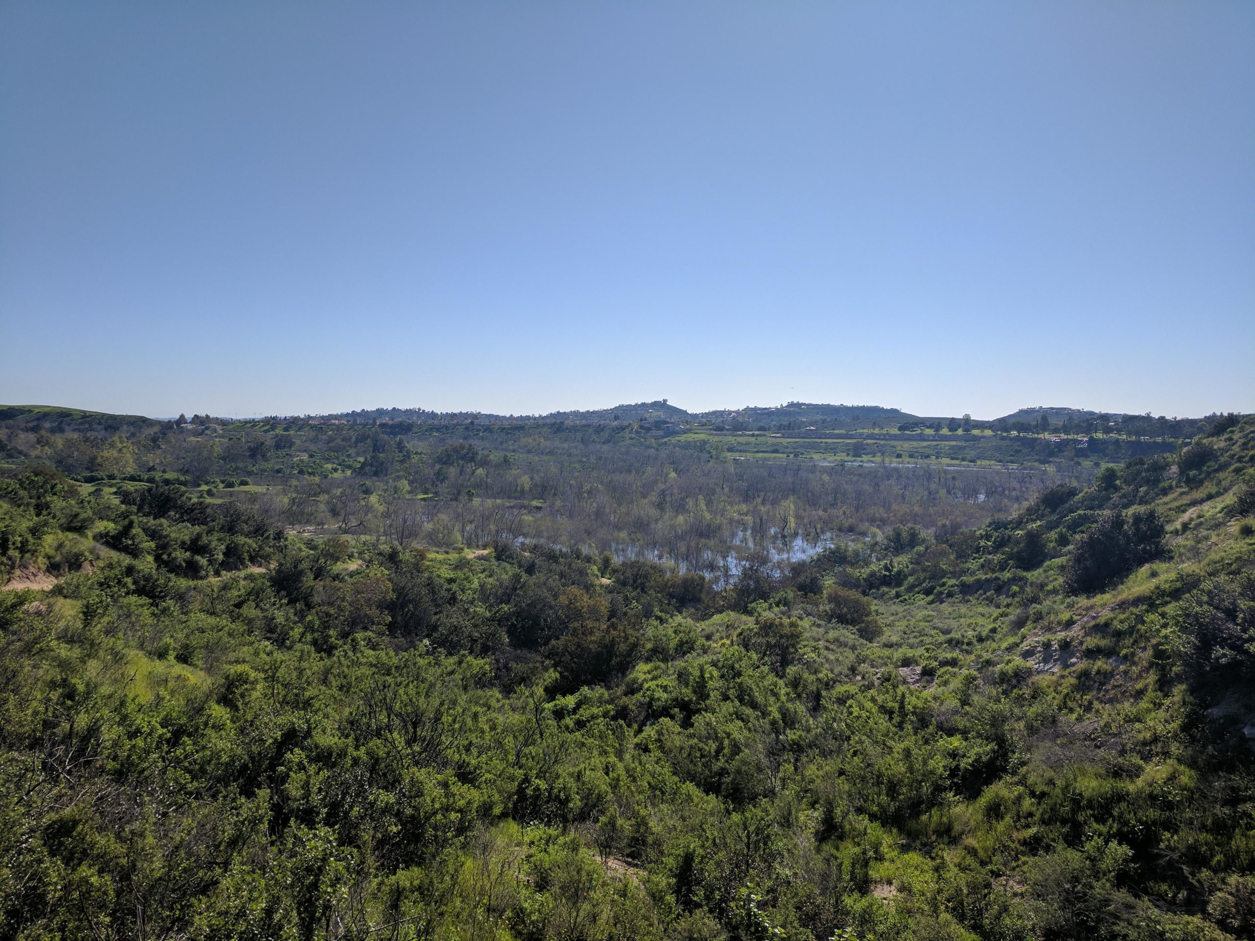 A wide panoramic view of a lush green landscape under a clear blue sky. In the foreground, dense vegetation and shrubs frame a valley that stretches into the distance, where water is visible amongst the trees. The rolling hills beyond are dotted with foliage, creating a serene and natural environment. Santiago Oaks mountain bike trail.