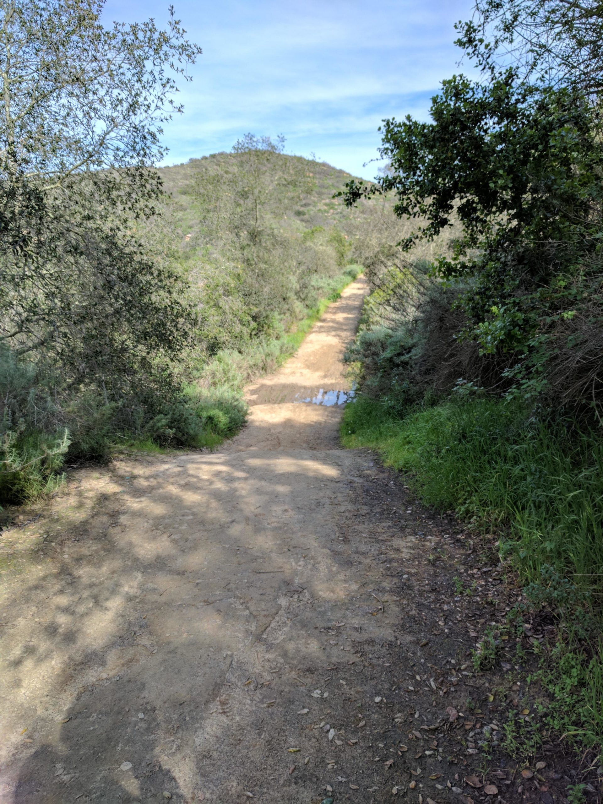 A dirt hiking trail surrounded by greenery, leading towards a small hill in the distance under a partly cloudy sky. El Moro / Erection Loop mountain bike trail.