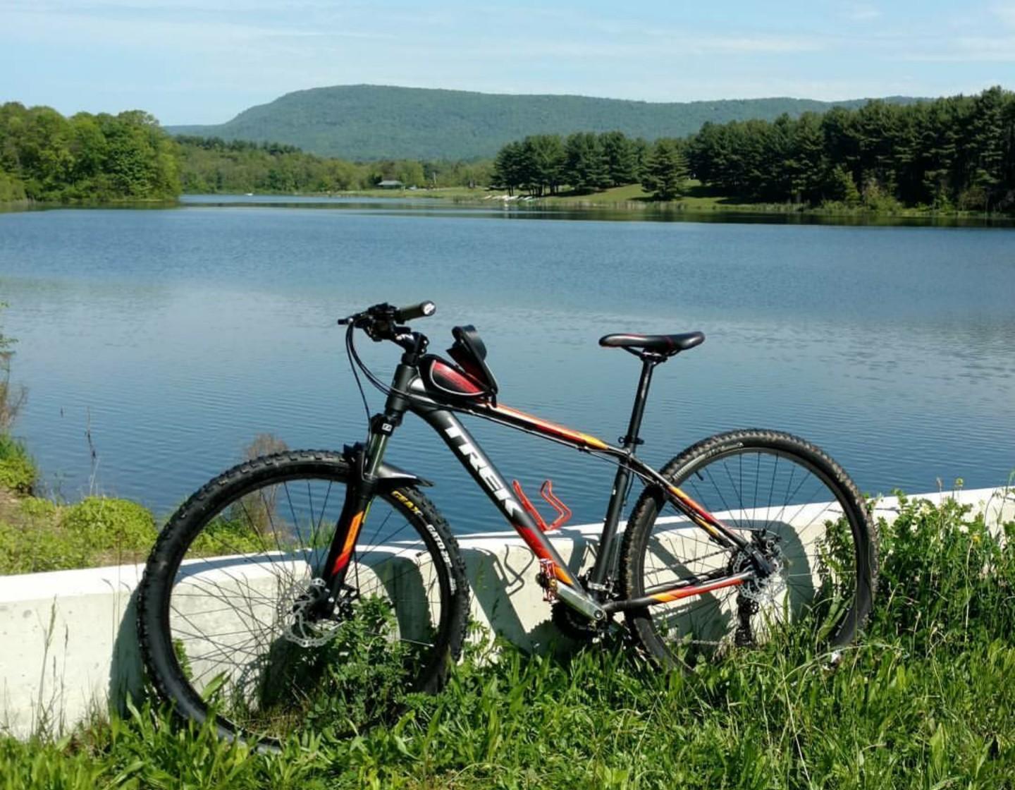 Trek Marlin 5 29er: A mountain bike resting against a concrete barrier overlooking a calm lake, surrounded by lush green grass and trees. The background features rolling hills under a clear blue sky.