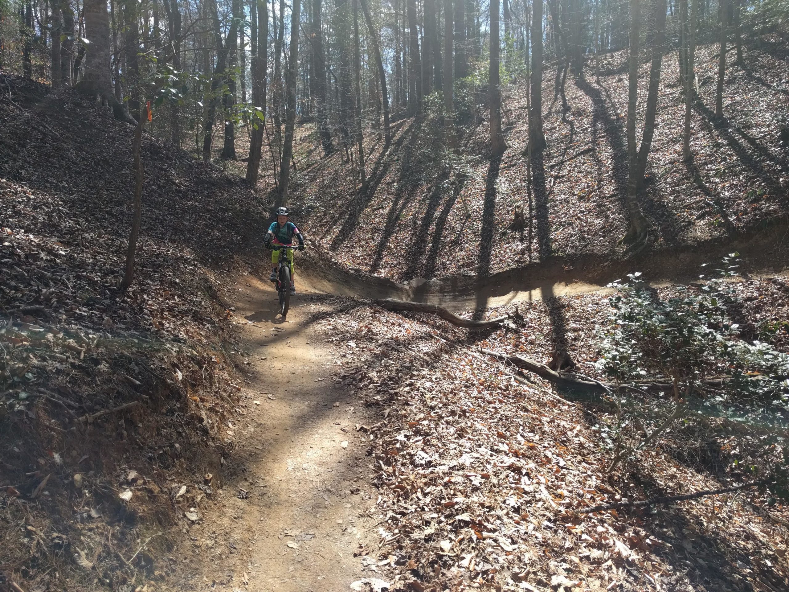 A mountain biker rides along a dirt trail winding through a sunlit forest, with tall trees casting shadows on the ground covered in brown leaves. Warrior Creek mountain bike trail.