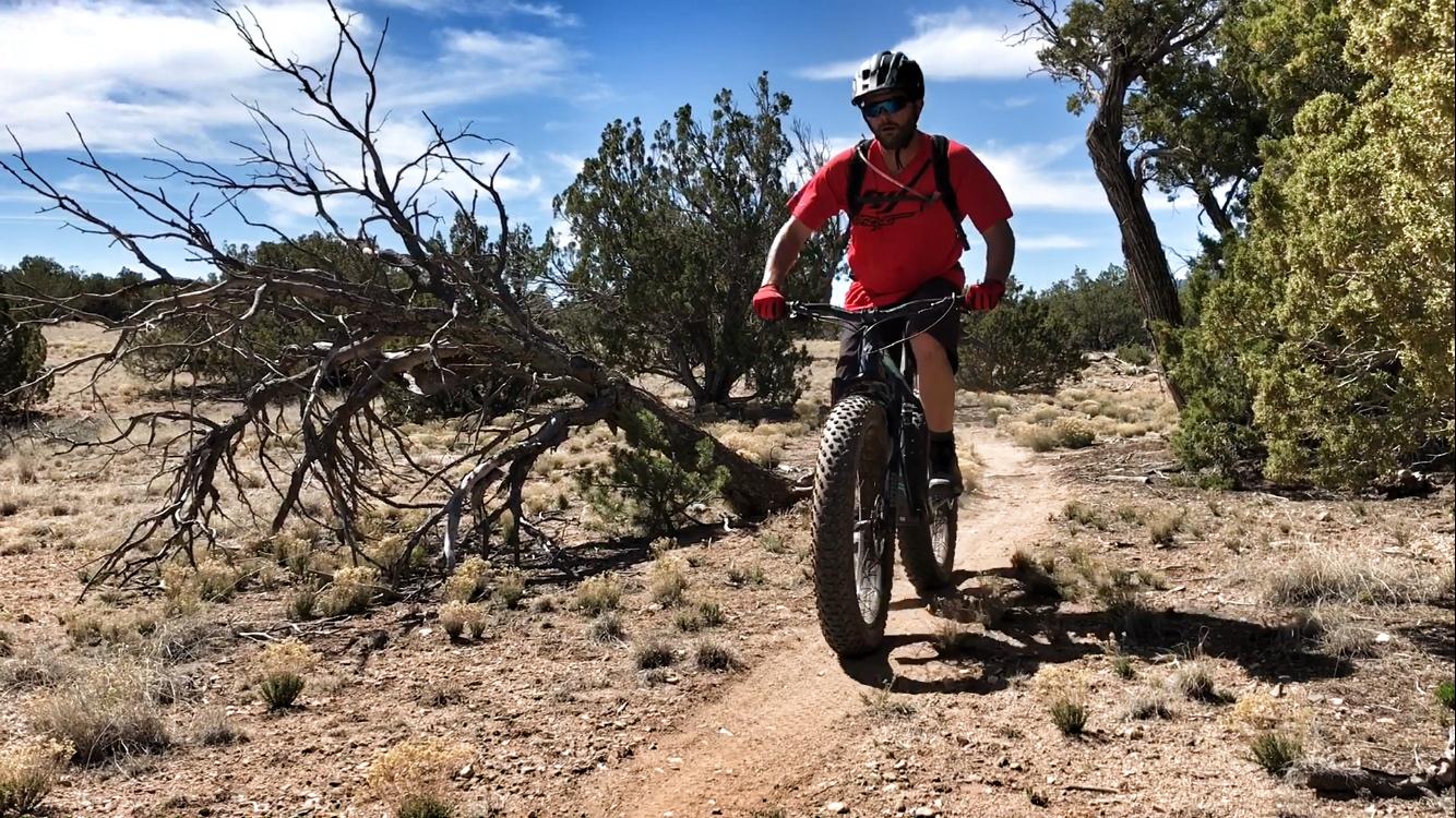 A person riding a fat tire mountain bike along a dirt trail in a desert landscape, surrounded by sparse vegetation and tall trees under a blue sky with a few clouds. Golden Open Space mountain bike trail.