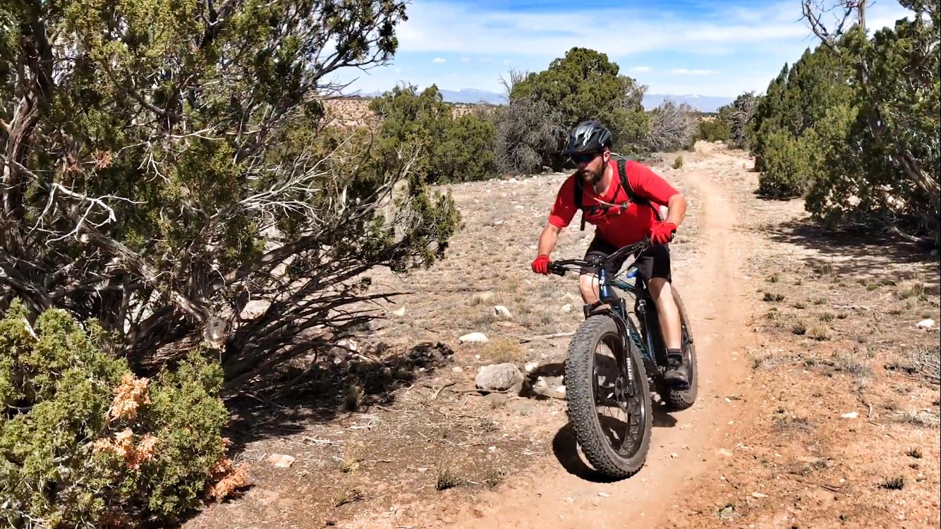 A person riding a fat tire mountain bike along a dirt trail, surrounded by shrubs and trees in a desert landscape. The cyclist is wearing a helmet and a red shirt, focused on navigating the trail under a clear blue sky. Golden Open Space mountain bike trail.