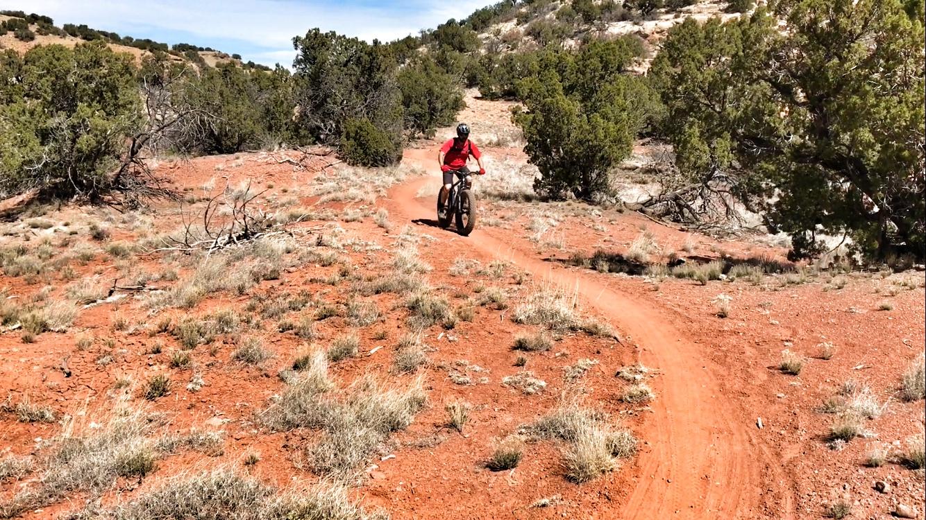 A person riding a fat tire bike along a winding dirt trail through a rugged, arid landscape with reddish soil and sparse vegetation, surrounded by scattered bushes and trees under a clear blue sky. Golden Open Space mountain bike trail.