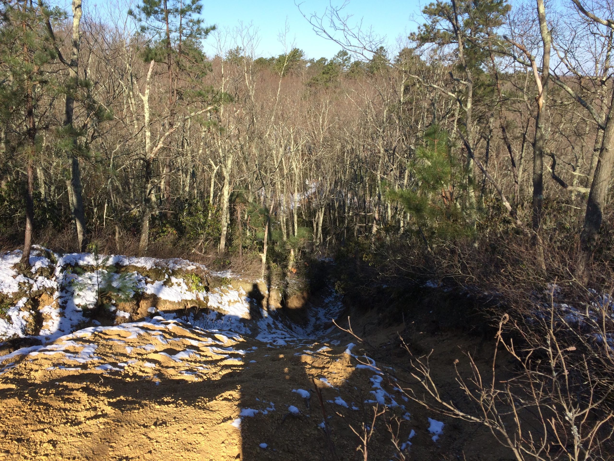 A scenic view of a forested area in winter, featuring a hillside with patches of snow and a dirt pathway. The trees are mostly bare, revealing a mixture of coniferous and deciduous species, with some evergreen pines visible. The sky is clear and blue, providing a bright backdrop to the landscape. A human shadow is cast on the ground, suggesting someone is taking the photo from the edge of the slope. Allaire State Park mountain bike trail.