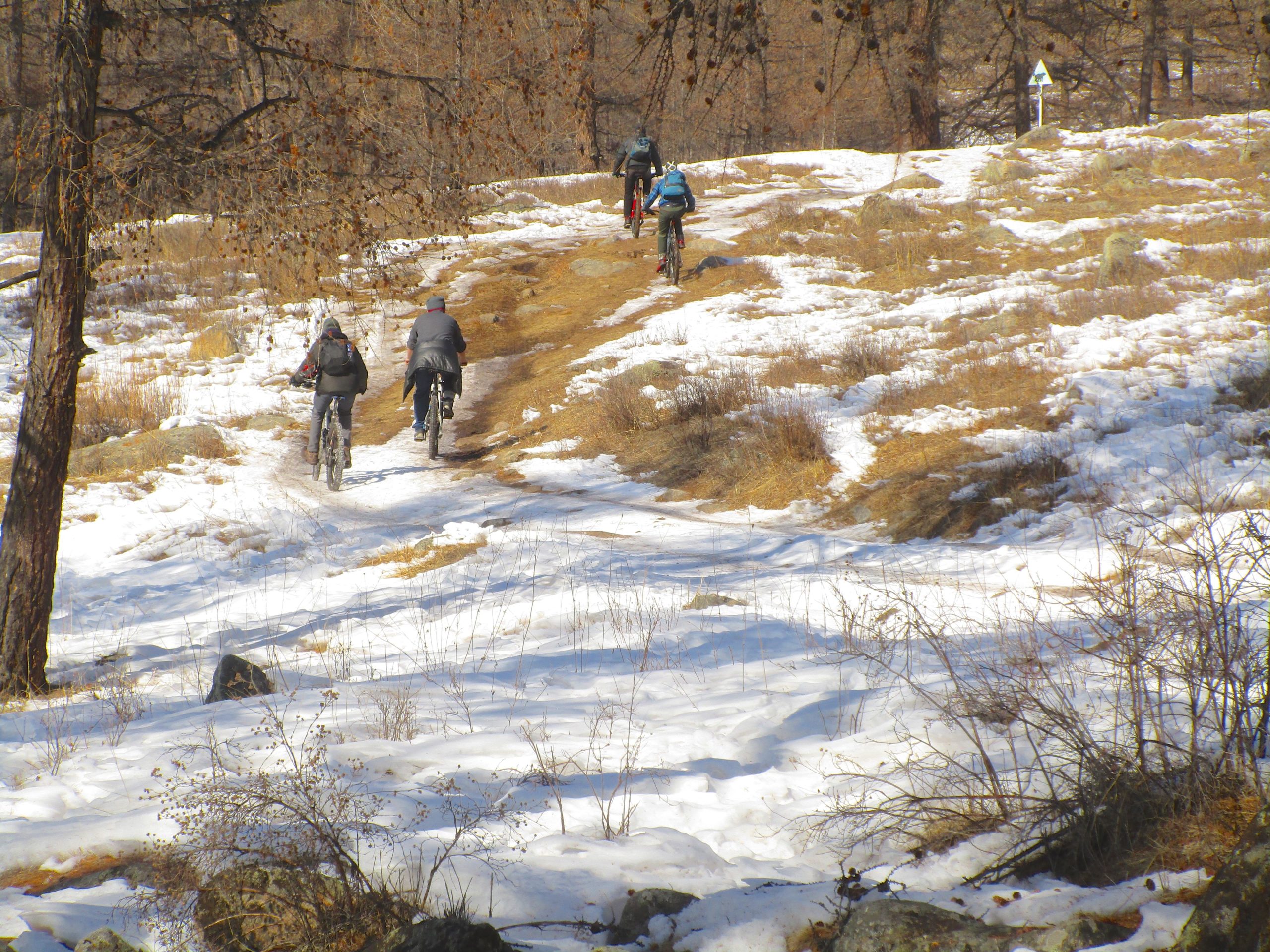 Three mountain bikers riding on a snowy trail through a natural landscape with patches of grass and sparse trees in the background. The scene captures a winter outdoor activity in a hilly area. Tsetsee Gun East Trail mountain bike trail.