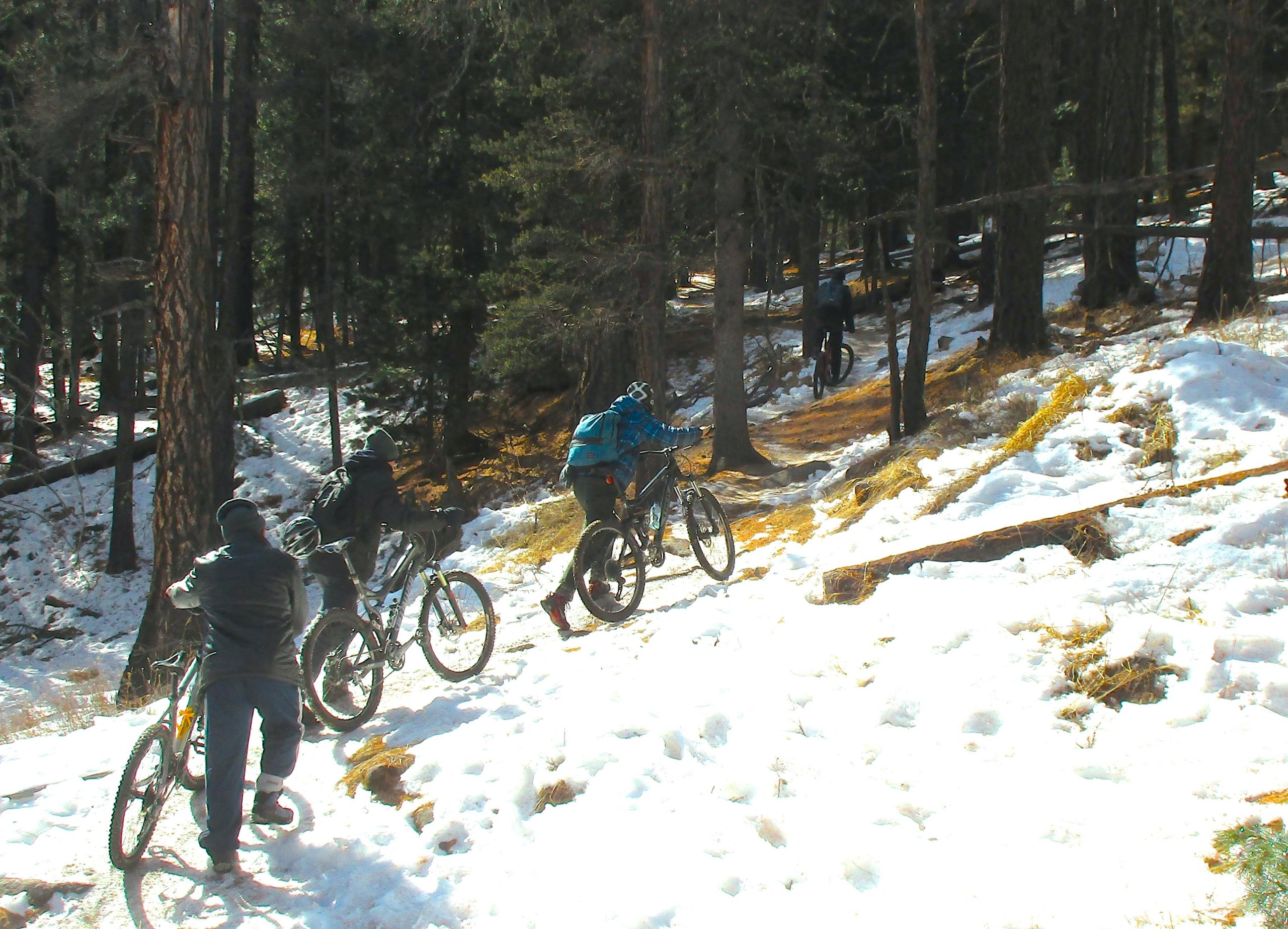 Four mountain bikers ascend a snowy trail through a forest. The scene captures tall pine trees in the background and patches of sunlight illuminating the ground. The bikers, dressed in winter gear, are maneuvering their bikes over a mix of snow and grass-covered terrain. Tsetsee Gun East Trail mountain bike trail.