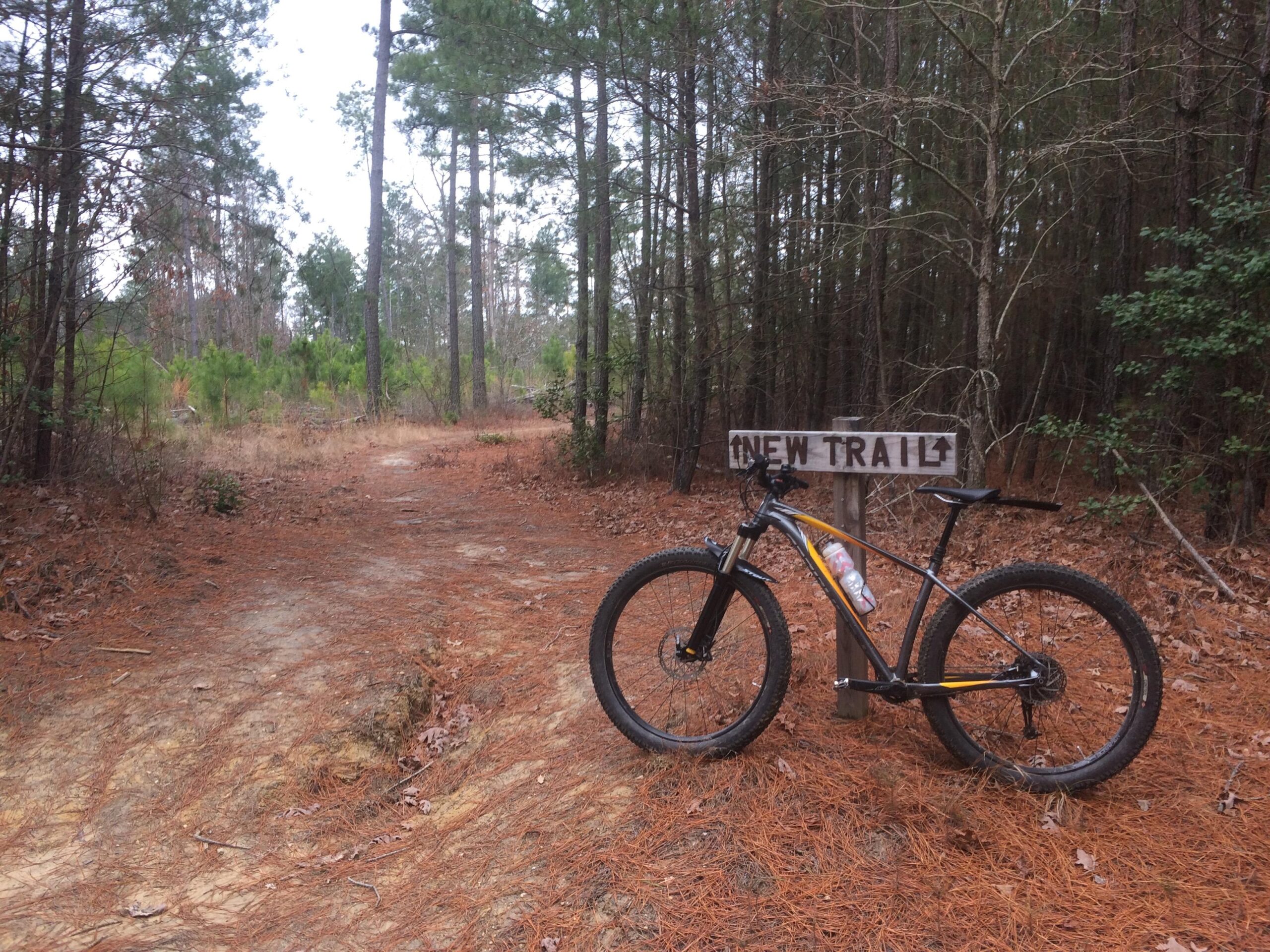 Specialized Fuse Comp 6Fattie: A mountain bike parked next to a wooden sign that reads "New Trail," set in a wooded area with tall pine trees and a carpet of pine needles covering the ground. The trail ahead is visible, leading into the forest.
