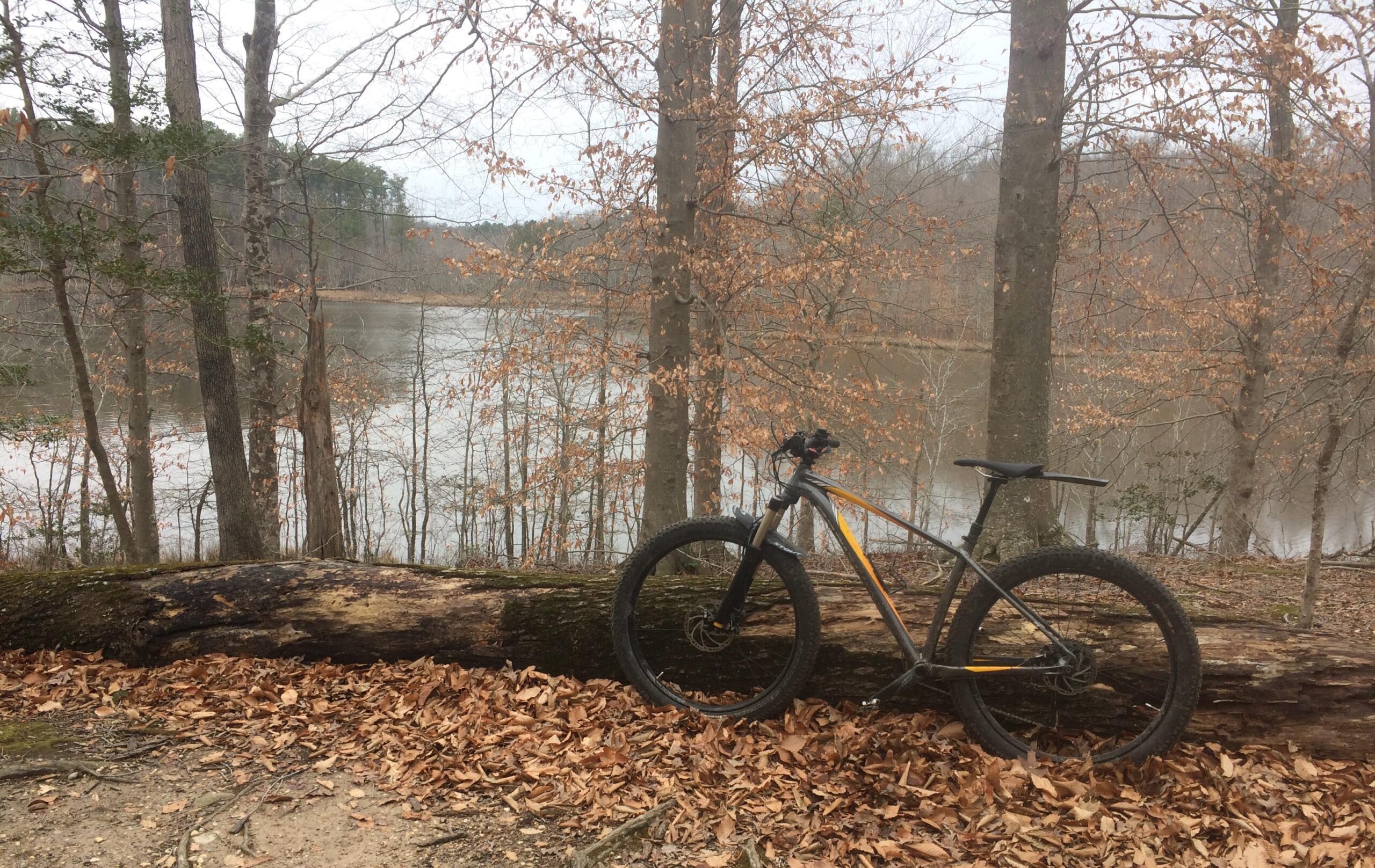 Specialized Fuse Comp 6Fattie: A mountain bike resting against a fallen log, surrounded by autumn leaves, with a calm lake visible in the background and bare trees framing the scene.