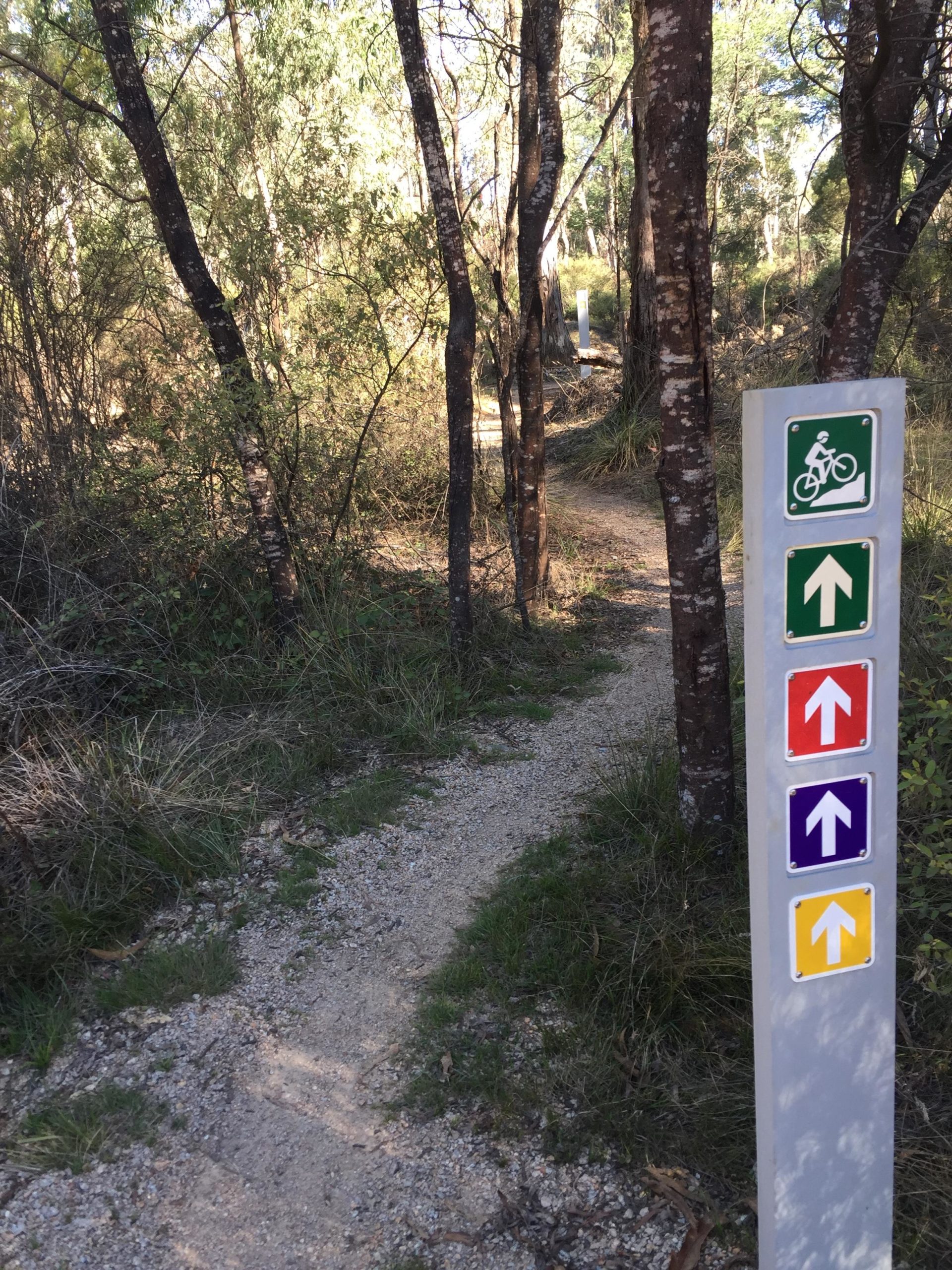 A narrow dirt path winding through a wooded area, with a signpost displaying various colored directional arrows and a bike symbol. The surrounding trees are green and the undergrowth is natural and unkempt, suggesting a scenic outdoor area suitable for walking or biking. Yack Tracks mountain bike trail.