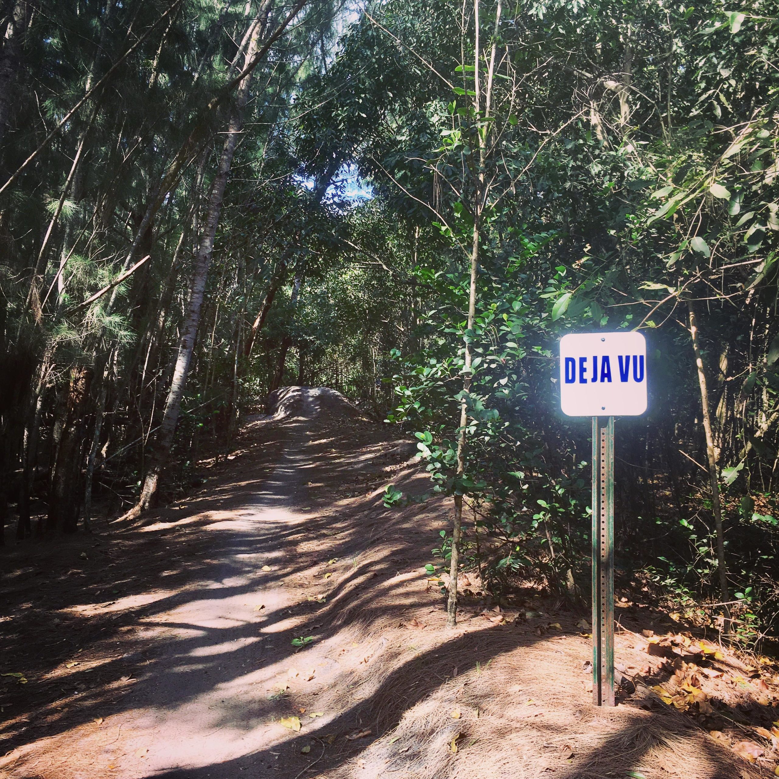 A sign labeled "DEJA VU" stands beside a dirt path winding through a lush forest, surrounded by tall trees and greenery. Sunlight filters through the canopy, casting shadows along the trail. Markham Park mountain bike trail.