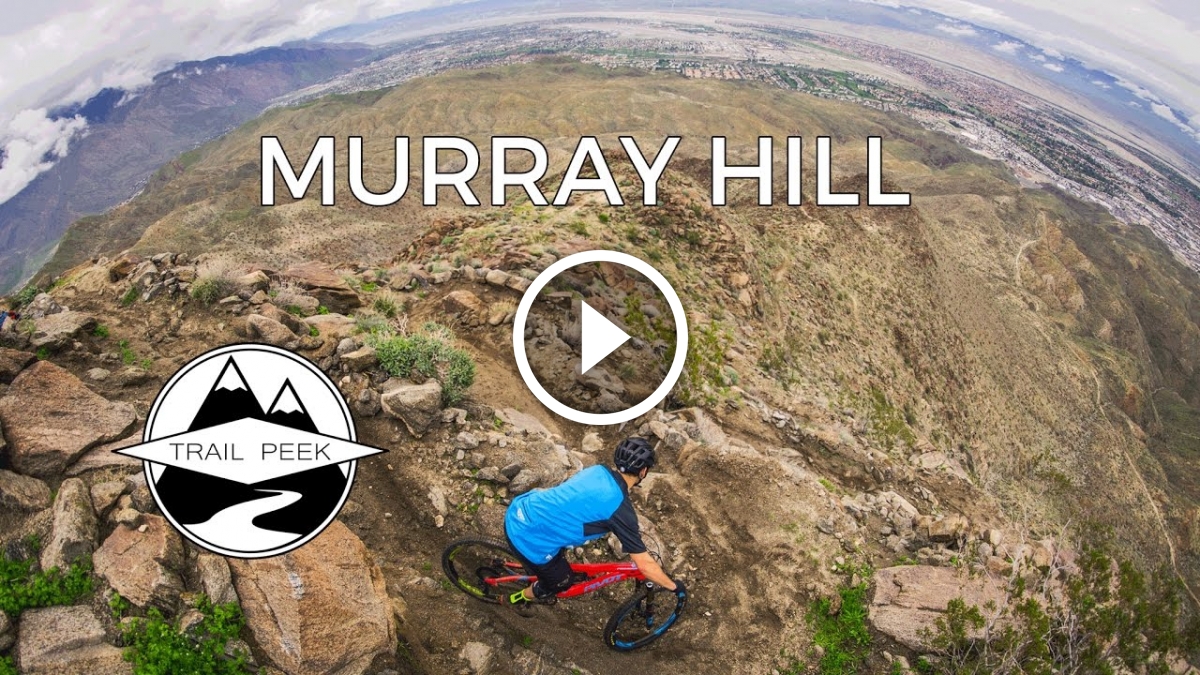 "I don't care. Whatever you guys want to do.‚" Joey took off his helmet and ran his fingers through his long, curly hair.

"If you guys want to go on, Joey and I will just go back to the car and wait," said Uri, the youngest of our group.

"Ok. That's cool. We shouldn't be gone too long. The trail can't go on for too much farther. Uri, how far did you say we've already been?" asked Jason.

Uri pushed some buttons on his speedometer and soon replied "About five miles."

We had heard that the trail was about six miles long but none of us had ever been to the end. Gabi, Jason and I decided to press on to the end of the trail while Uri and Joey returned to the car. Gabi was riding Joey's old bike - a real piece. Mountain biking takes some extra effort when the bike is without brakes. Gabi had been struggling with "old red‚" all day long - they had both taken quite a beating. We all laughed with Gabi as he came careening down the steep hills, dragging his feet as he barreled towards the sharp curves of this wooded bike trail. We had all had a great time that day - the unseasonably warm February day easily lent itself to some much needed exercise and fun.

The end of the day was quickly approaching as Jason, Gabi, and I attempted to make the most of our day off from school. The three of us headed west down the trail while Joey and Uri headed east to the car. After another thirty minutes of riding, Jason, Gabi, and I were at what we assumed to be the end of the bike trail. We had just traversed some pretty exciting terrain - some of the most exciting all day. We had heard that the trail simply ended in the middle of the woods - no other way to get out except for the way we came. Gabi's complaints had reached a peak by this time.

From the end of the trail we could see a wide grassy power line cut which made us wonder if there was an easier way to get back to our car. All three of us were greatly fatigued as the trail riding had taken a lot out of us. After a lot of riding and a lot debating, we decided that the only sure way to get back to the car was to go back the way we had come. Gabi was truly upset by this news and was very reluctant to follow Jason and I back down the trail of doom...

"Where is that guy?" asked a frustrated Jason. Jason and I had been waiting on Gabi for about twenty minutes. We had only been riding forty minutes and already Gabi was twenty minutes behind. Finally, through the woods we heard the clatter of the bike frame as Gabi made his way down the trail. We waited for Gabi to catch up with us - as soon as he was in sight, Jason and I took off down the trail again. Gabi's complaints came fast and furious - neither Jason nor I were in the mood to listen to his complaining. Jason and I were hungry and just as ready to get back to the car as Gabi was.

I got back to the car first. Jason came next. Dusk was fast approaching. Jason and I loaded our bikes onto the bike rack and took a seat on the ground.

"Was Gabi behind you?‚" asked the concerned brother Uri.

"Yeah, we saw him about an hour ago," I replied, frustrated and ready to go home.

Now another hour had passed. It was now night. No Gabi. Feeling bad about leaving my friend behind, I decided to walk into the woods to try to find Gabi. Joey, rested from the day's biking, led the way. Joey and I called for Gabi over and over. We walked for a bit and then started to jog. I was tired so I let Joey run ahead of me. By this time it was far too dark for any normal person to see. Joey and I ran through the woods, yelling our heads off for Gabi. No answer. After running through the darkness for about a mile, Joey called out...

"I found him!‚"

Found him? What does that mean? Is Gabi ok? I would soon find out. I hesitantly walked towards the sound of Joey's voice - what if Gabi was bloody or unconscious or worse? I had to find out. I had to help my friend.

Upon arriving at the scene, Gabi was laying on the ground and Joey was talking to him. Gabi was speaking - rather incoherently for the most part. Joey and I helped Gabi onto his feet. I got the bike and walked it alongside Joey who was supporting Gabi for the walk back to the car. Gabi asked how far we were from the car. We kept answering "a couple hundred yards.‚" Gabi was thirsty. His water bottle was empty. I filled it with creek water and told him that he hadn't used all of his water. Gabi was cold. He kept saying that he just wanted to sit down for a minute - rest. We couldn't let him. Gabi said he had been yelling for us for a long time. We couldn't hear him - he was imagining. Gabi said that he had felt so peaceful laying there on the trail - he was ready to die. Gabi kept saying that he felt so warm laying there - he could hear voices - not our voices. He could see a light...

Jason met us about half way back to the car - he helped us carry our friend down the trail. Uri had turned on the car lights which were pointing into the woods from the road. As we made our way towards the bright lights, it seemed as though we would never make it. We continued our conversation with Gabi to make sure he would make it. He would make it. He would make it.

Gabi's mother yelled at us, "How could you let this happen to my son!‚" Gabi's dad told us "You shouldn't have left him behind." They were right. But we had saved Gabi's life.

Gabi went to the hospital later that night because his body temperature had not risen above 94 degrees since he returned home. Gabi was diagnosed with severe hypothermia and dehydration. He was treated and released that night. He also had a bad case of diarrhea from the creek water-- sorry 'bout that Gabi.