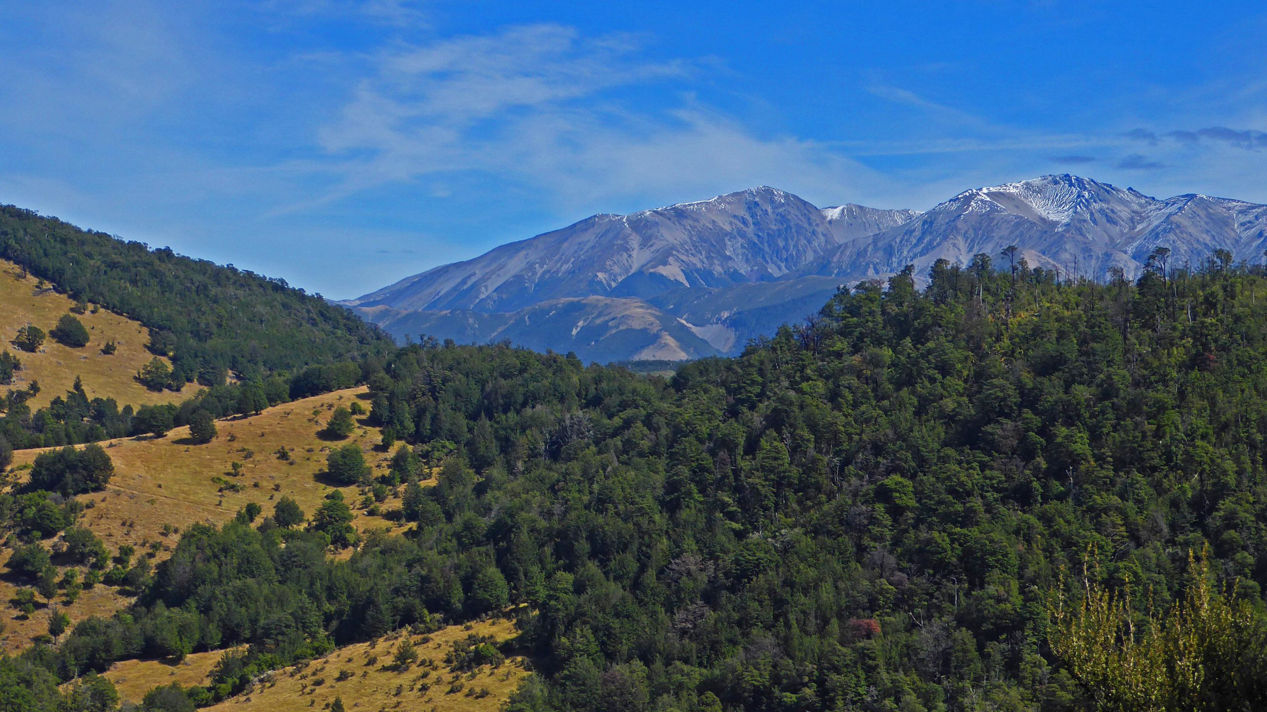 A scenic view of rolling hills and mountains under a clear blue sky, featuring lush green forests and some rocky, snow-capped peaks in the background. The foreground displays a mix of grassy land and trees, while the mountains rise dramatically in the distance. Wharfedale Track mountain bike trail.