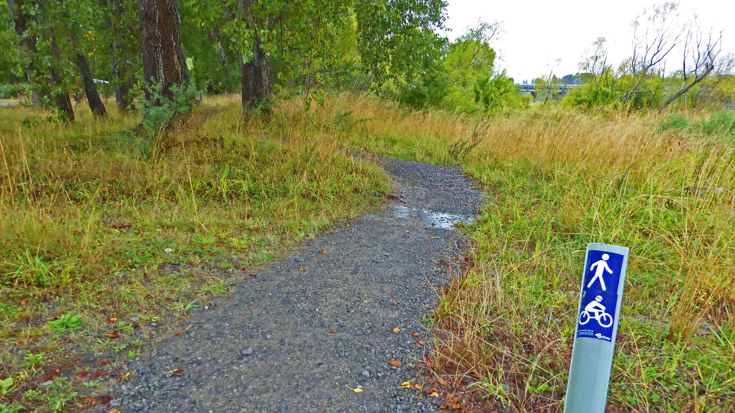 A gravel path winding through tall grasses and trees, with a signpost indicating a trail for both pedestrians and cyclists. The ground is slightly wet, suggesting recent rain, and the surroundings are filled with greenery. Kaiapoi Island Trail mountain bike trail.