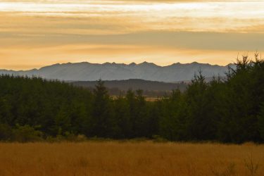 A scenic view of a mountain range in the distance, framed by lush green trees in the foreground and a field of golden grass. The sky is painted with soft hues of orange and yellow, suggesting either dawn or dusk. Pyramid Saddle mountain bike trail.