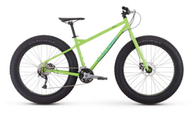 budget fat bike