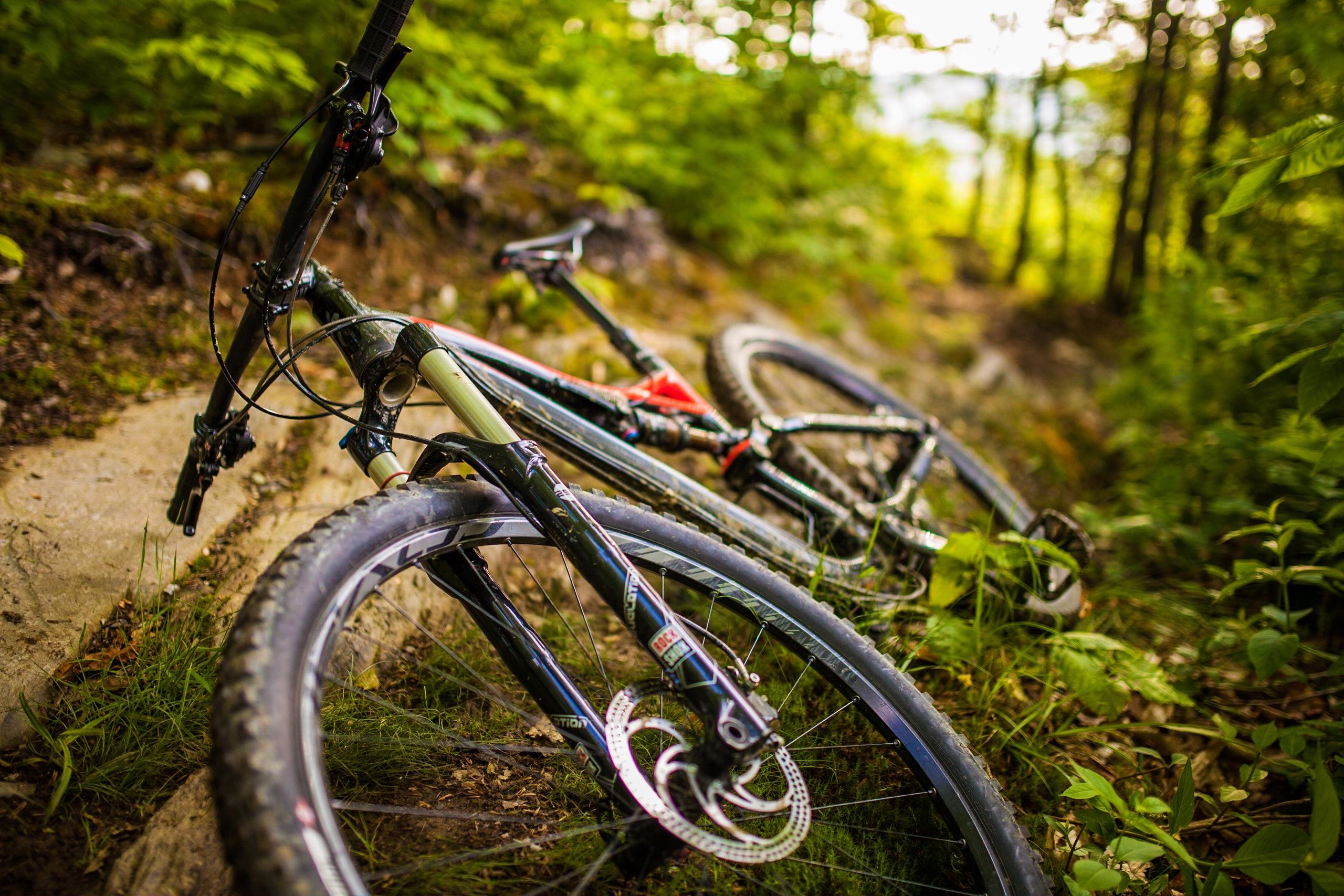 Specialized Stumpjumper FSR Expert Evo: A close-up view of a mountain bike resting on a dirt trail surrounded by lush green foliage. The bike's wheels and frame are visible, showcasing a mix of colors and details on the components. Sunlight filters through the trees in the background, creating a serene outdoor atmosphere.