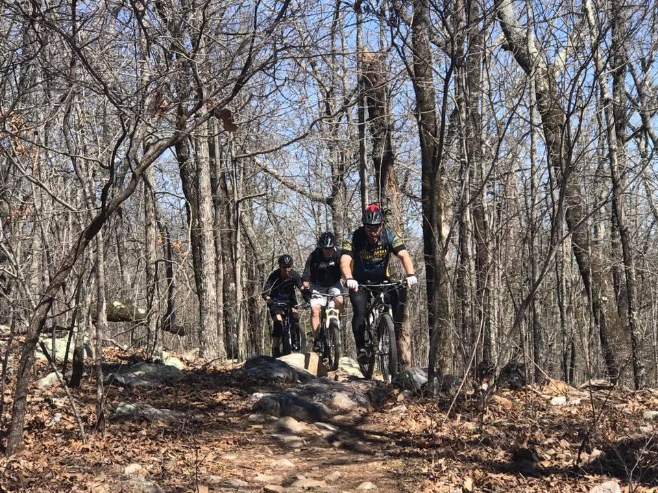 Three mountain bikers navigate a rocky trail surrounded by bare trees and fallen leaves in a wooded area on a clear day. Coldwater Mountain mountain bike trail.
