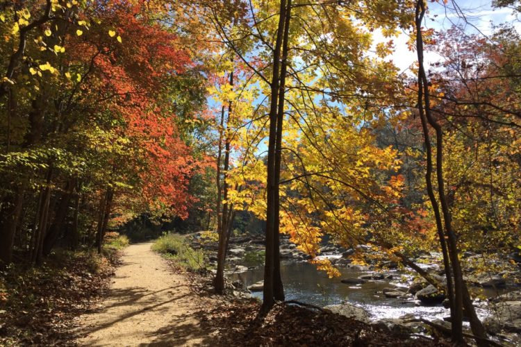 A scenic path winding through a colorful autumn forest, lined with trees displaying vibrant red, orange, and yellow leaves. The ground is covered with fallen leaves, and a gentle stream runs beside the path, reflecting the blue sky above.