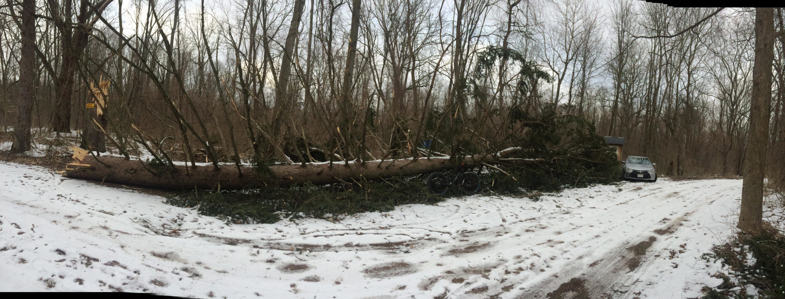 A large, fallen tree lies across a snow-covered dirt road surrounded by bare trees. A gray car is seen parked nearby, partially obscured by branches and debris from the fallen tree. The scene suggests the aftermath of a storm, with the snow adding a wintry backdrop. Anderson Park mountain bike trail.