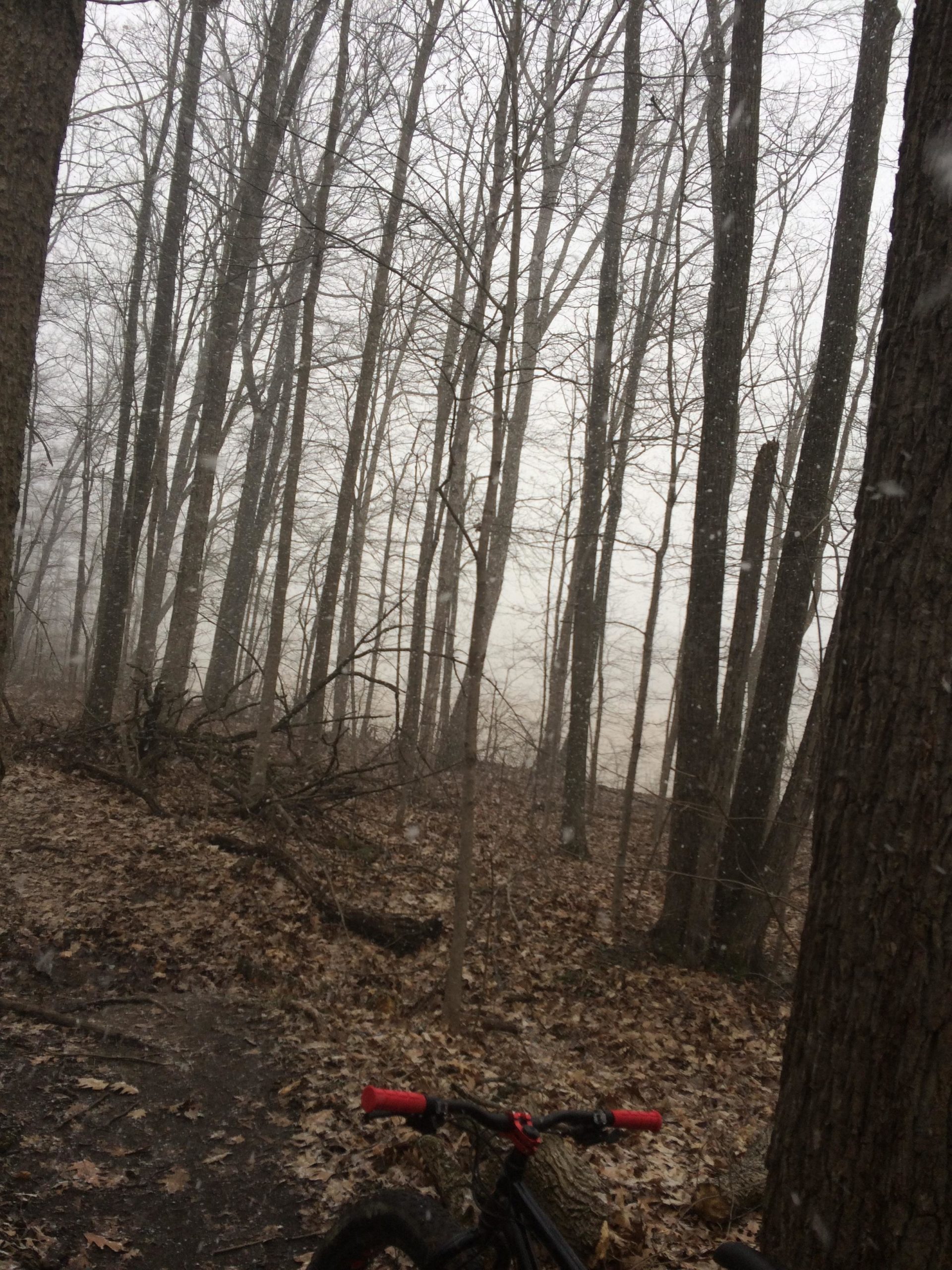 A foggy forest scene showing tall, bare trees with a blurred background. In the foreground, a black bicycle with red handlebars is partially visible, surrounded by fallen leaves on the ground. The atmosphere appears misty and cool, suggesting a quiet, serene setting. Van  Buren mountain bike trail.