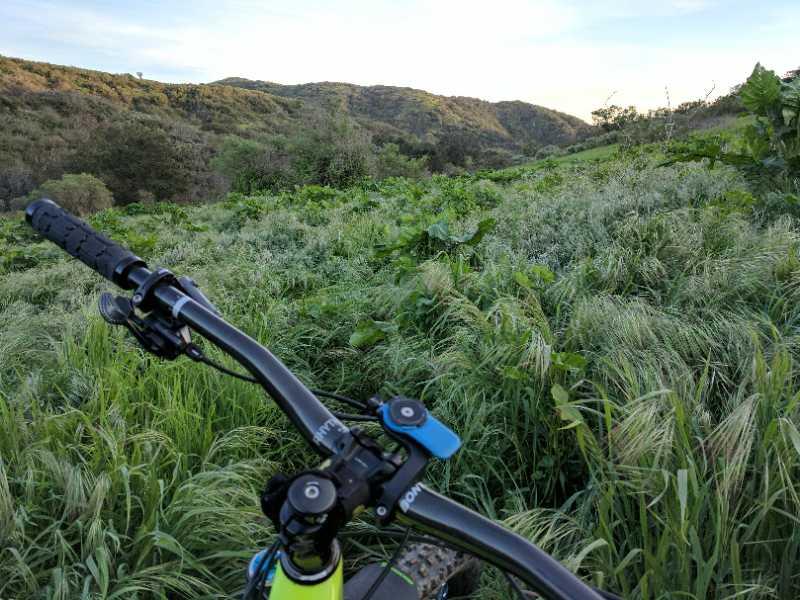 A close-up view of a mountain bike handlebar in a grassy field, with rolling hills and trees in the background during sunset. El Moro / Erection Loop mountain bike trail.