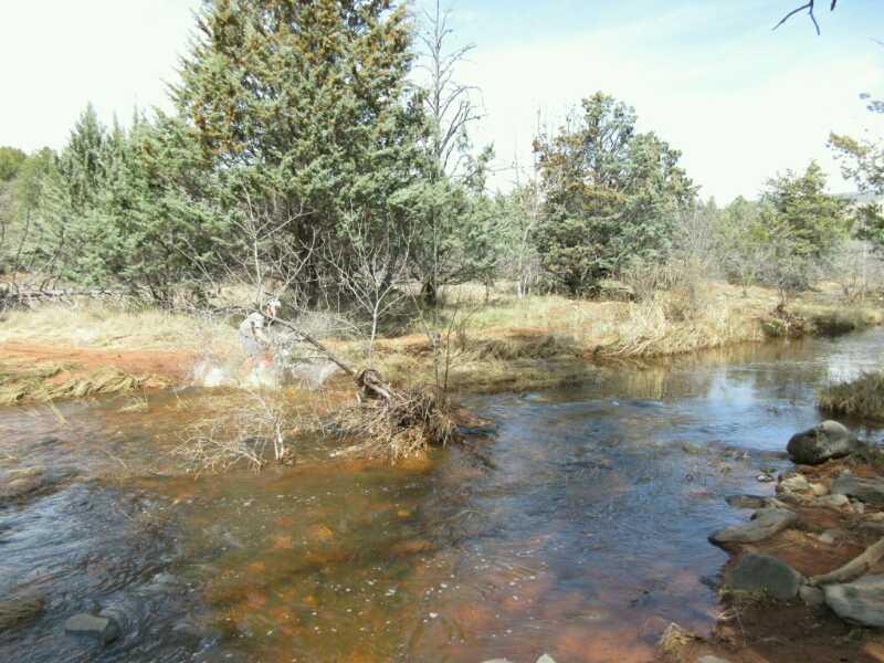 A serene landscape featuring a flowing river surrounded by grassy banks and various trees. In the foreground, a fallen branch extends over the water, and gentle ripples can be seen in the stream. The scene is peaceful, with a clear blue sky above and hints of sunlight filtering through the foliage. Chuck Wagon mountain bike trail.