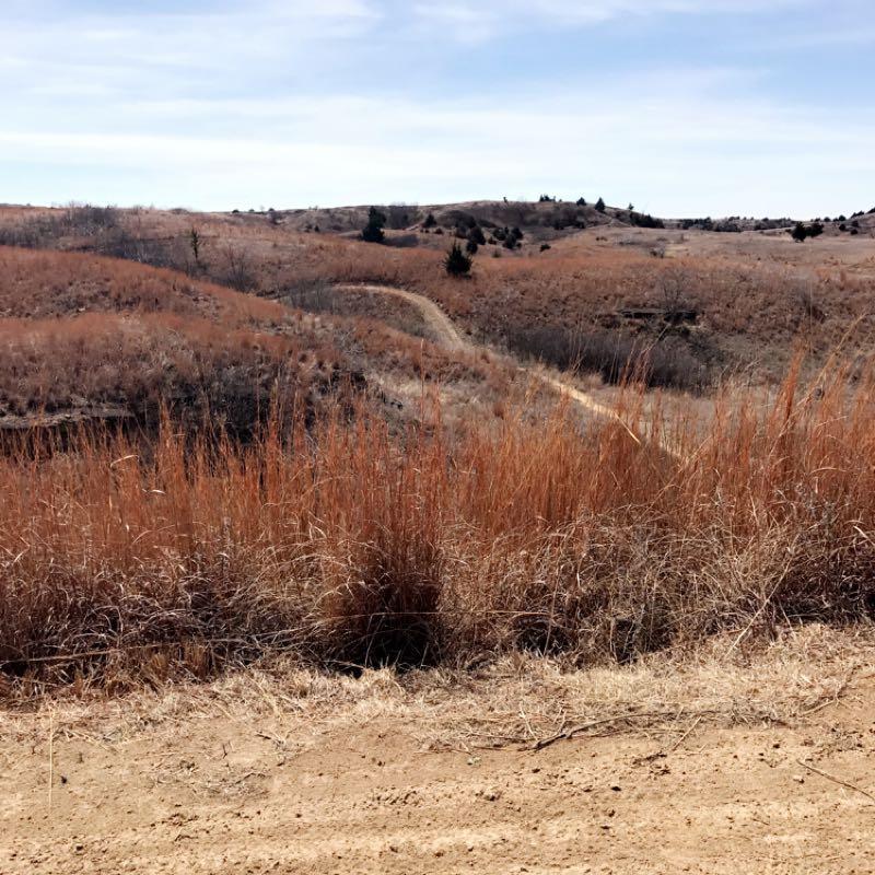 A scenic landscape featuring rolling hills covered in dry, golden grasses under a clear blue sky. A winding dirt path meanders through the terrain, suggesting a tranquil outdoor setting. The scene captures the earthy tones of the landscape, with sparse trees dotting the hills in the distance. Switchgrass mountain bike trail.