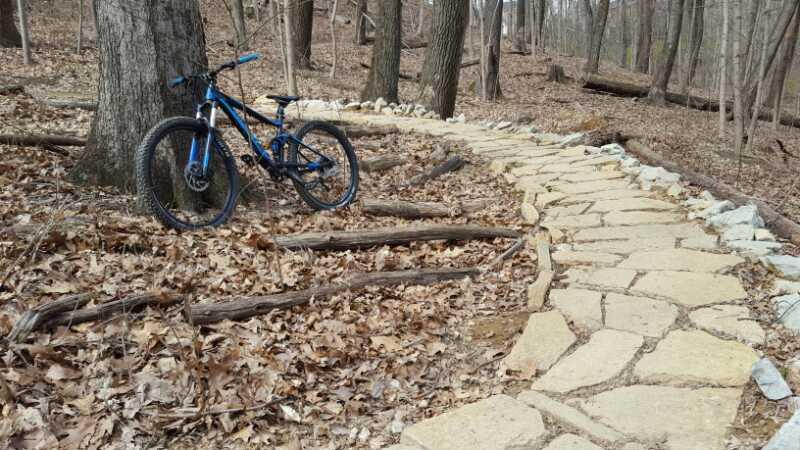 A blue mountain bike leaning against a tree, with a winding stone path covered in leaves and surrounded by bare trees in a wooded area. Waverly Park mountain bike trail.