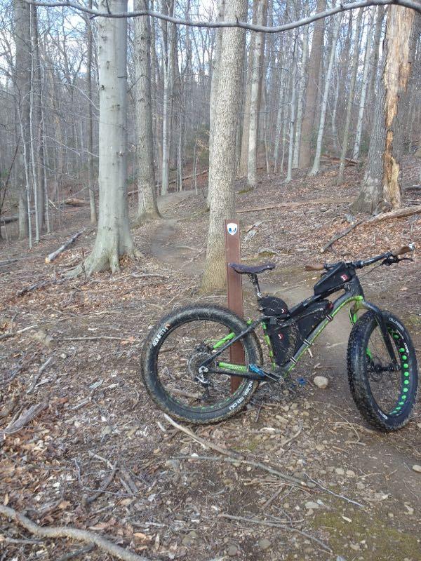 A mountain bike resting on the forest floor near a trail sign, surrounded by trees with bare branches. The bike, equipped for off-road riding, features thick tires and a vibrant green and black color scheme. The path leads into a wooded area, with fallen leaves and twigs scattered throughout the ground. Wakefield mountain bike trail.