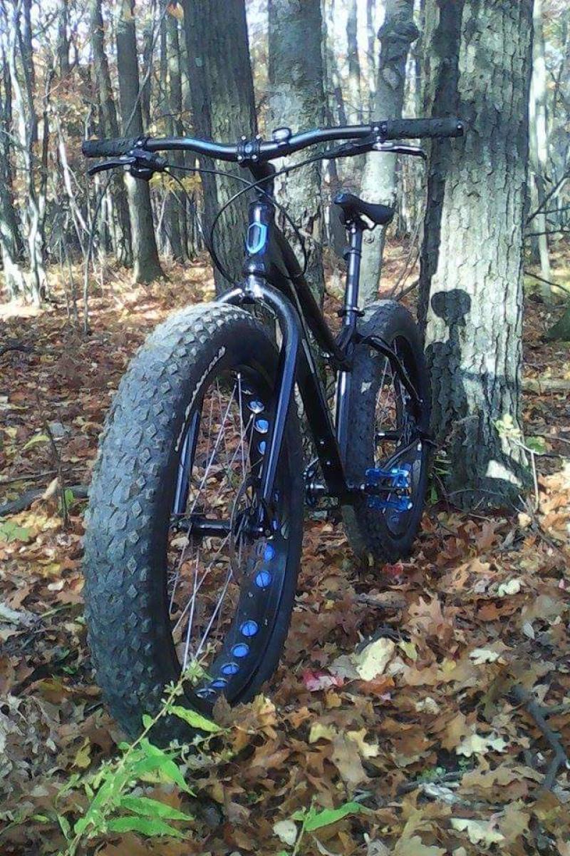 Norco Bigfoot: A black fat tire bike with blue accents, leaning against a tree in a forest setting. The ground is covered with fallen leaves in various shades of brown and some green, and sunlight filters through the trees.