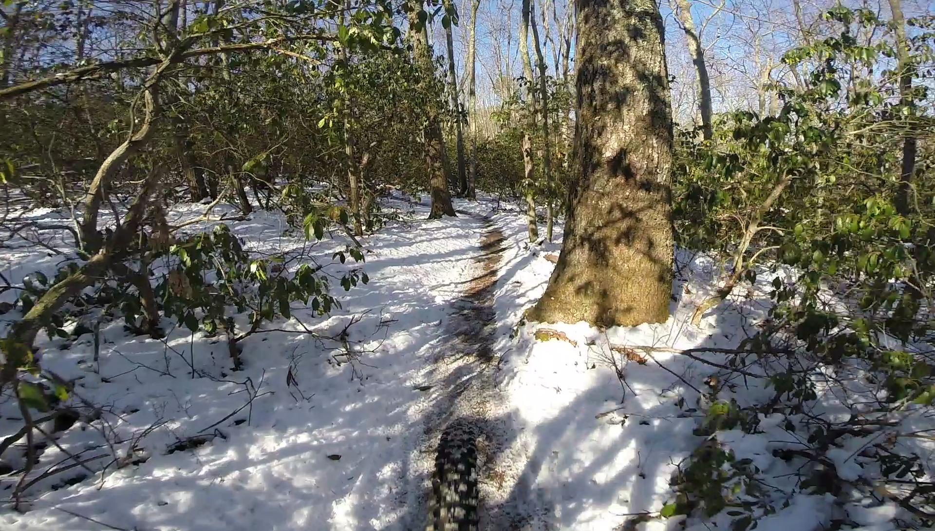Snow-covered trail winding through a forest, with tall trees and green bushes lining the path. Sunlight filters through the branches, casting shadows on the snowy ground. A view from the perspective of a cyclist's bike tire is visible, indicating a biking adventure in a winter landscape. Allaire State Park mountain bike trail.