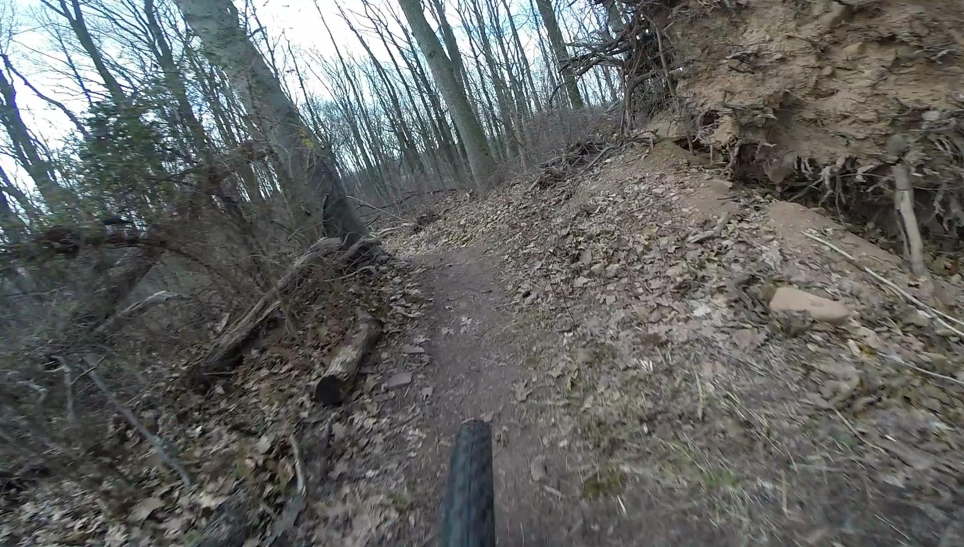 A close-up view of a dirt biking trail winding through a wooded area, featuring a tire in the foreground, surrounded by fallen leaves, tree roots, and bare trees in a natural setting. Richmond Avenue and Forest Hill road mountain bike trail.