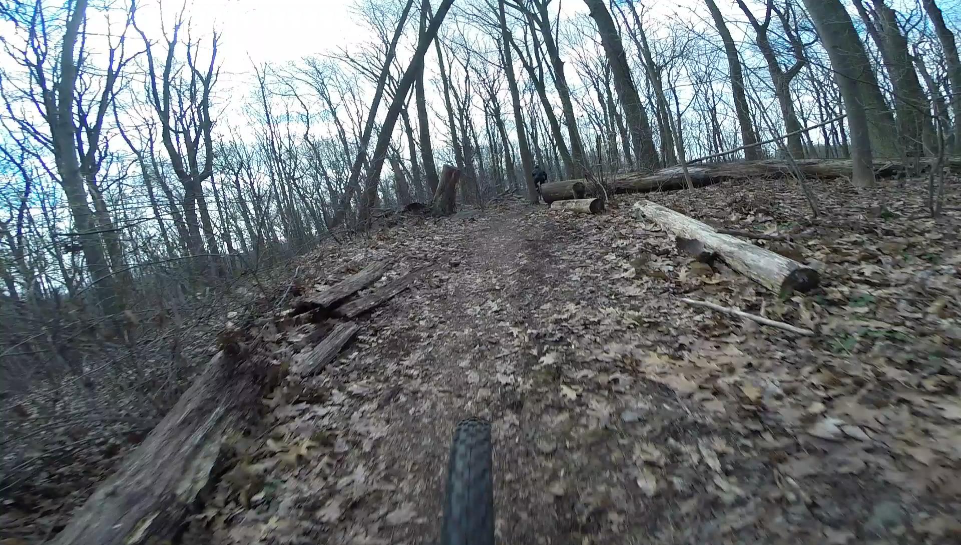 A trail winding through a dense forest, covered in fallen leaves and scattered logs. The perspective is from a cyclist's viewpoint, showcasing a dirt path bordered by trees, emphasizing the natural environment. Richmond Avenue and Forest Hill road mountain bike trail.