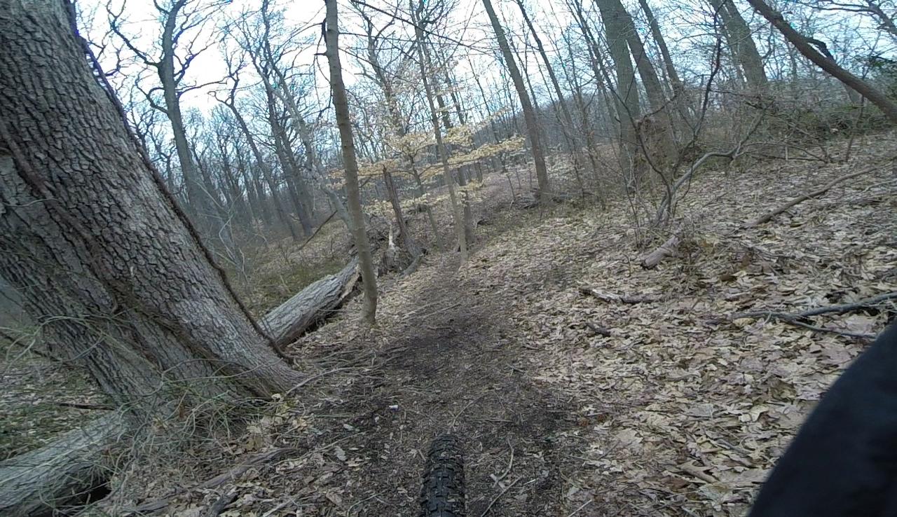 A narrow dirt biking trail winding through a wooded area with bare trees and fallen leaves on the ground. The perspective shows a close-up view of the bike tire along the path. Wolfes Pond park mountain bike trail.