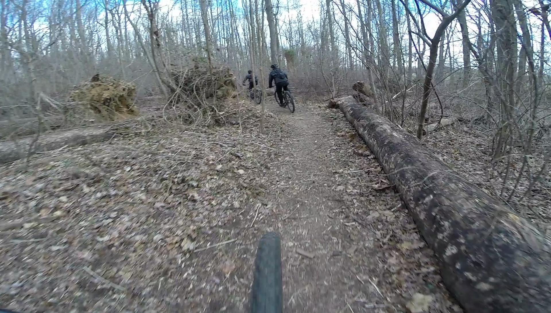 Two mountain bikers riding through a wooded trail with fallen logs and leaf-covered ground, surrounded by bare trees and a clear blue sky. Richmond Avenue and Forest Hill road mountain bike trail.